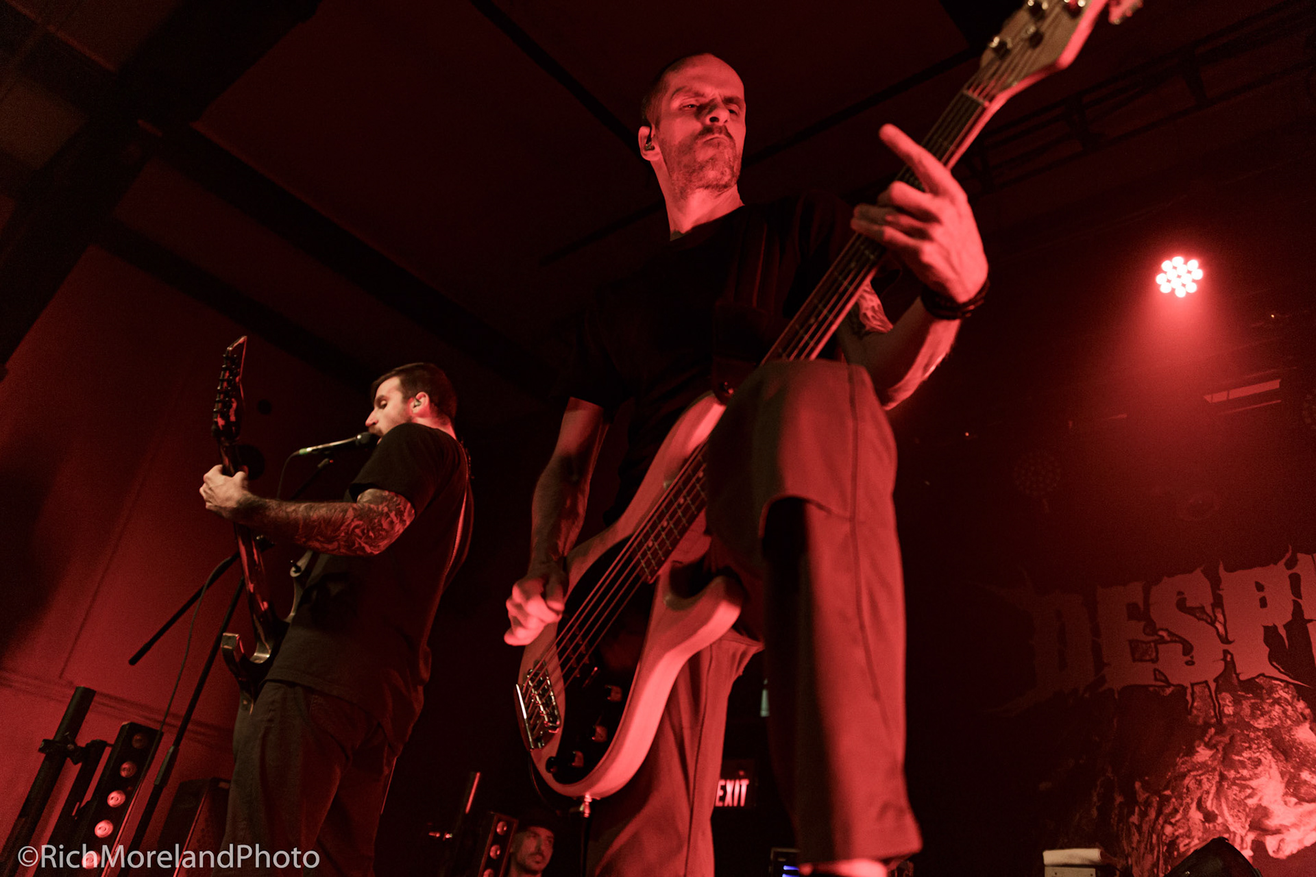 Despised Icon
