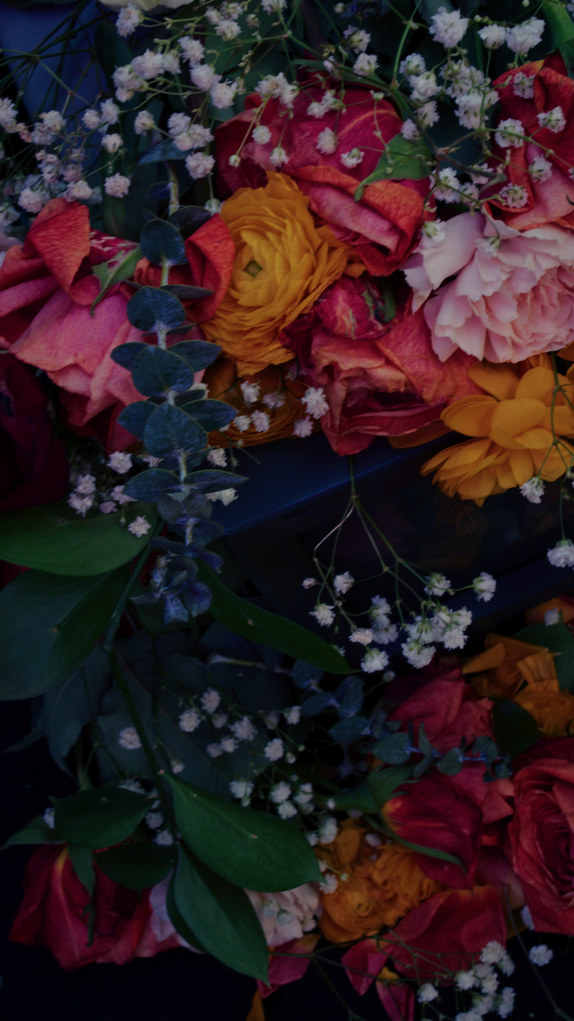 Flower TV 2