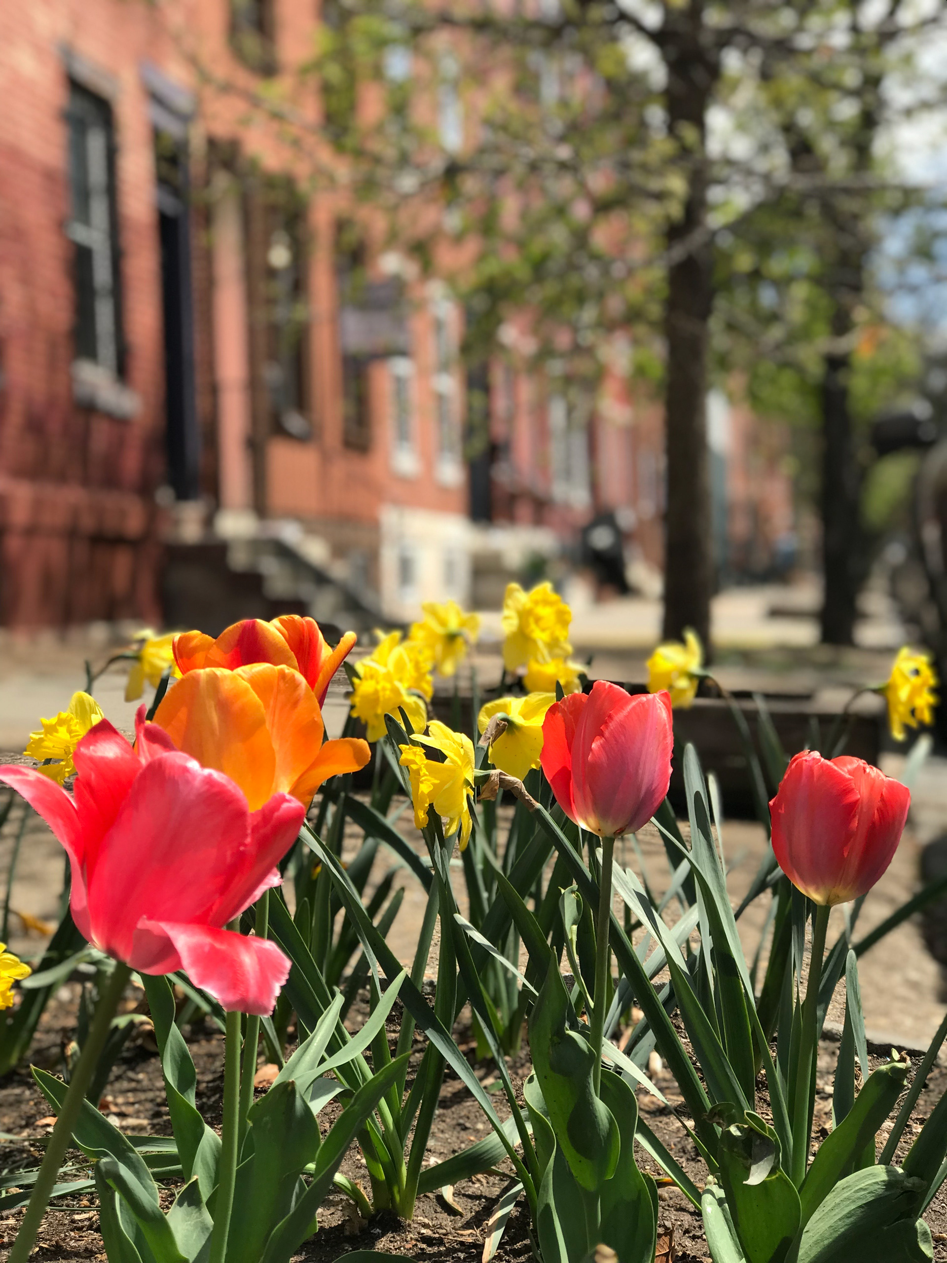 April 26, 2018 | 22nd & Christian | Philadelphia, PA