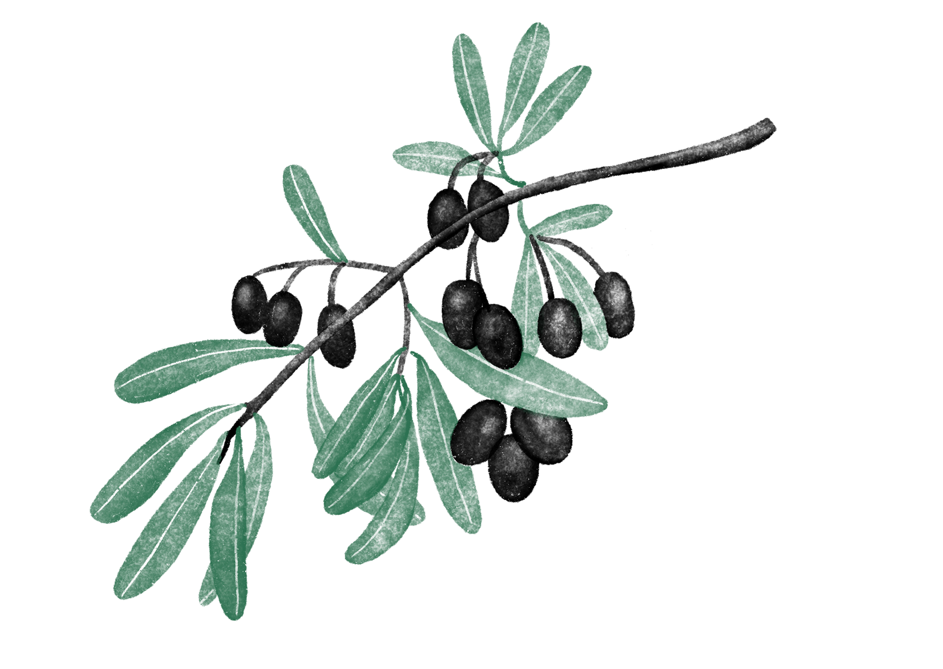 Olive Arnaud