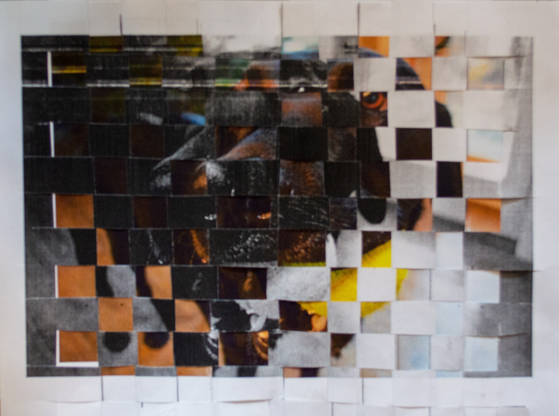 Paper weaving with original photography