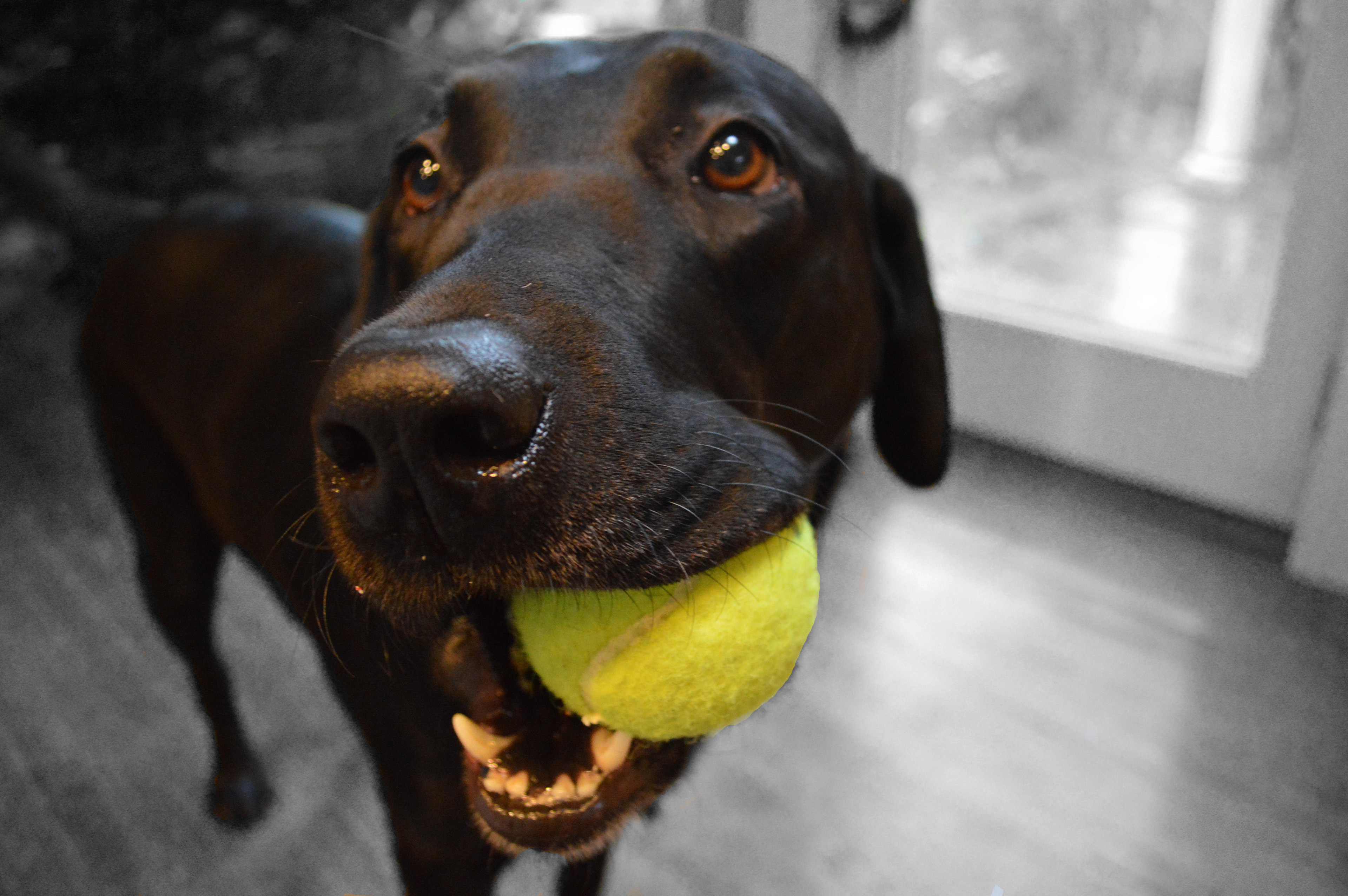 Original photography edited in Photoshop