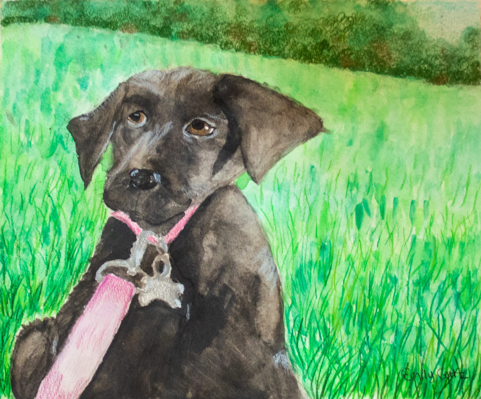 Watercolor & colored pencils