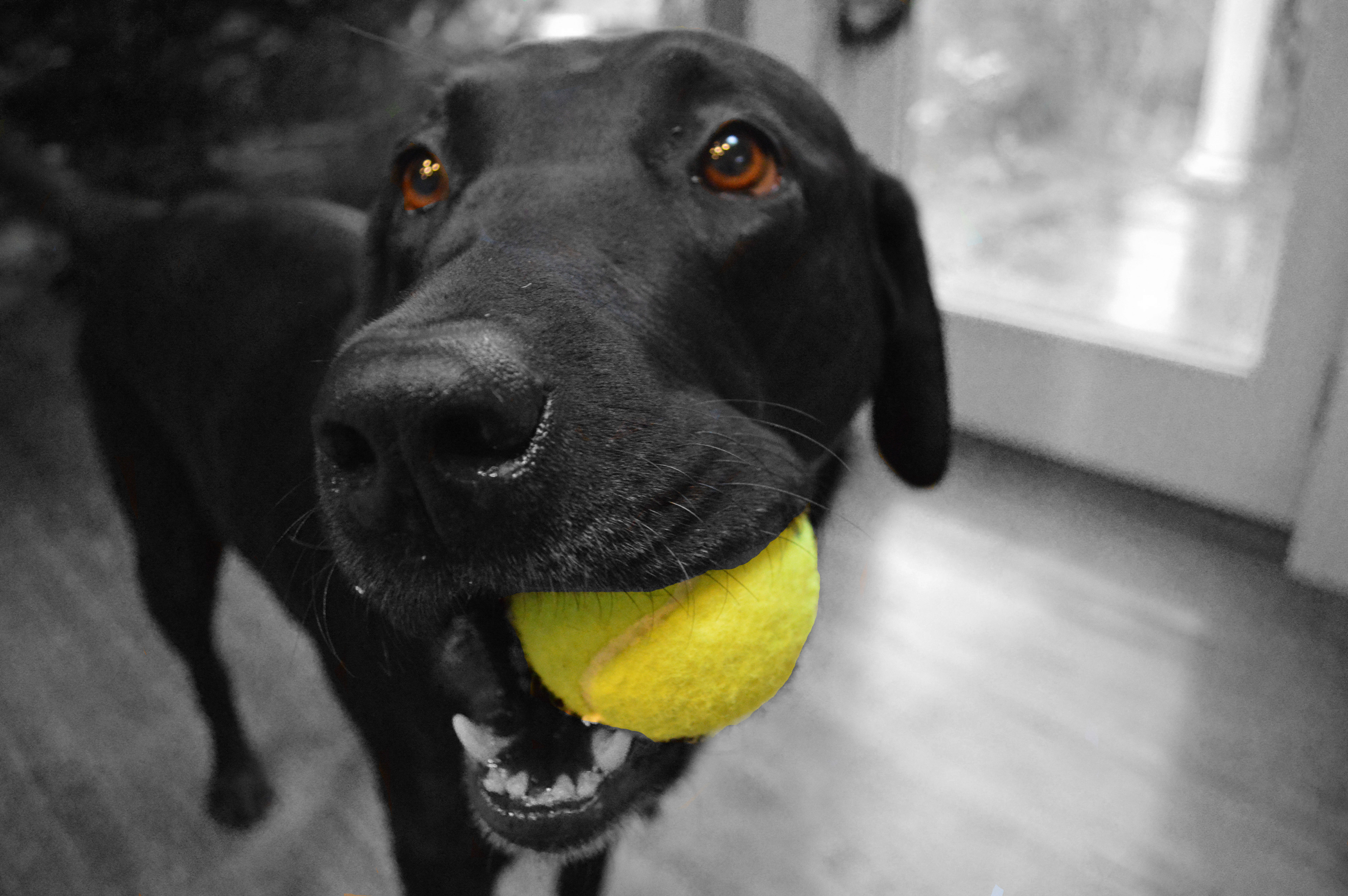 Original photography edited in Photoshop