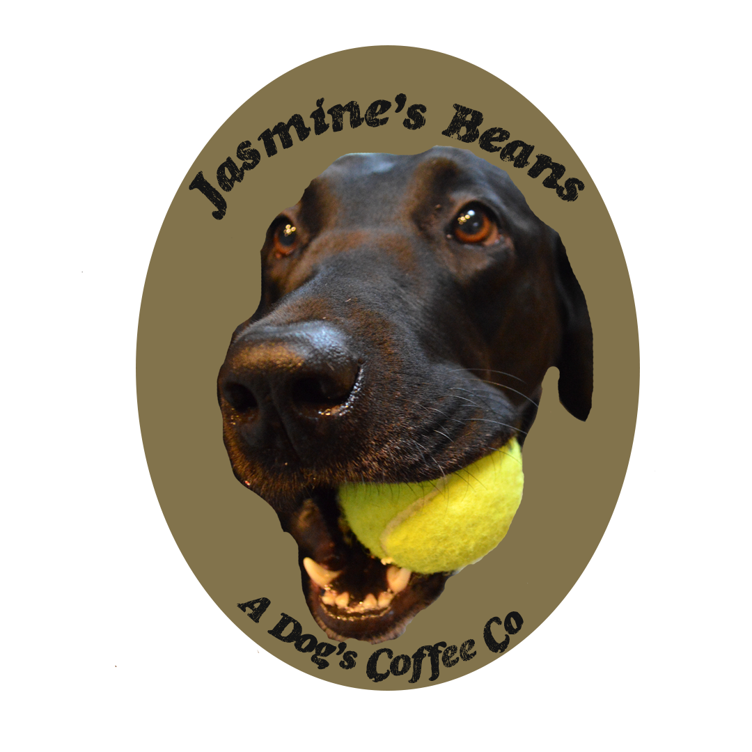 Indesign with original photography