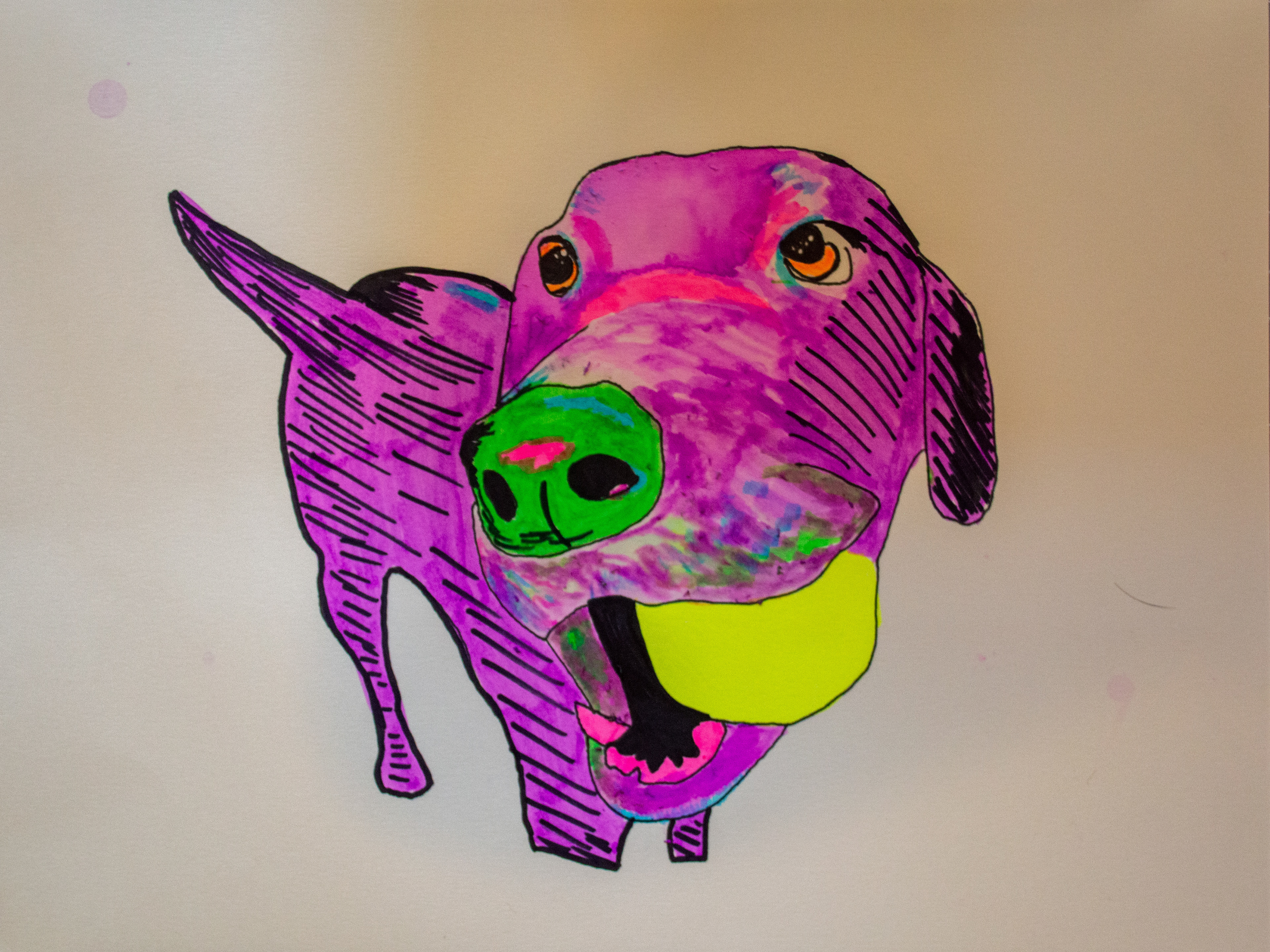 Highlighers, Brush Pens & Sharpie