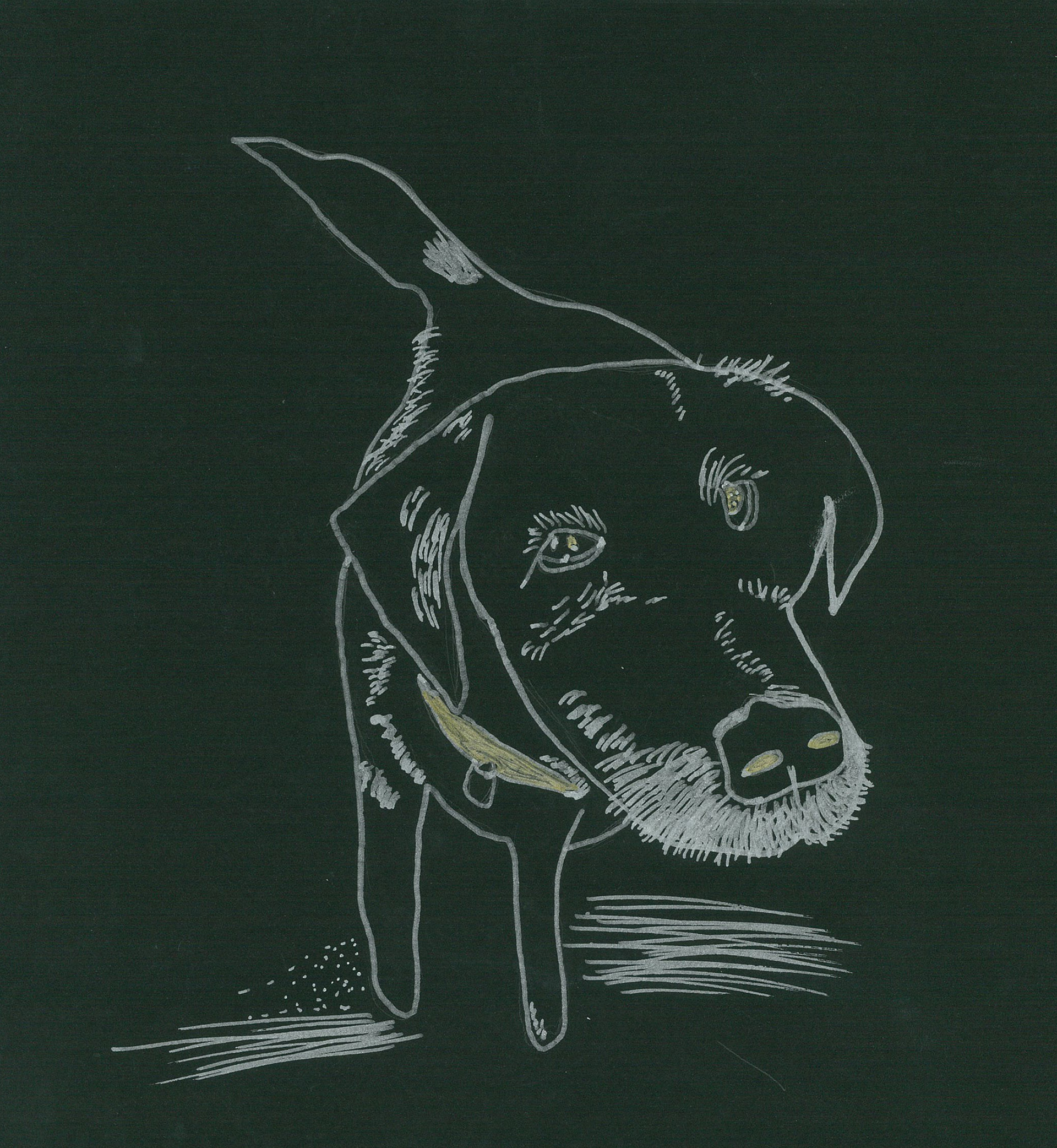 Sharpie paint on black paper