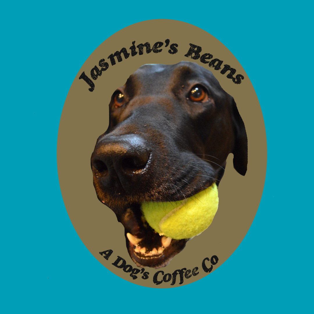 Indesign with original photography