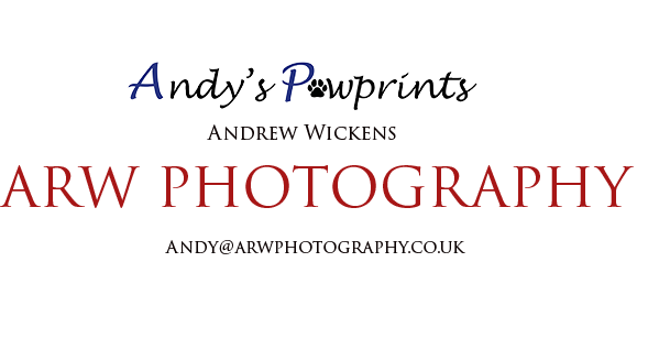 ARW PHOTOGRAPHY