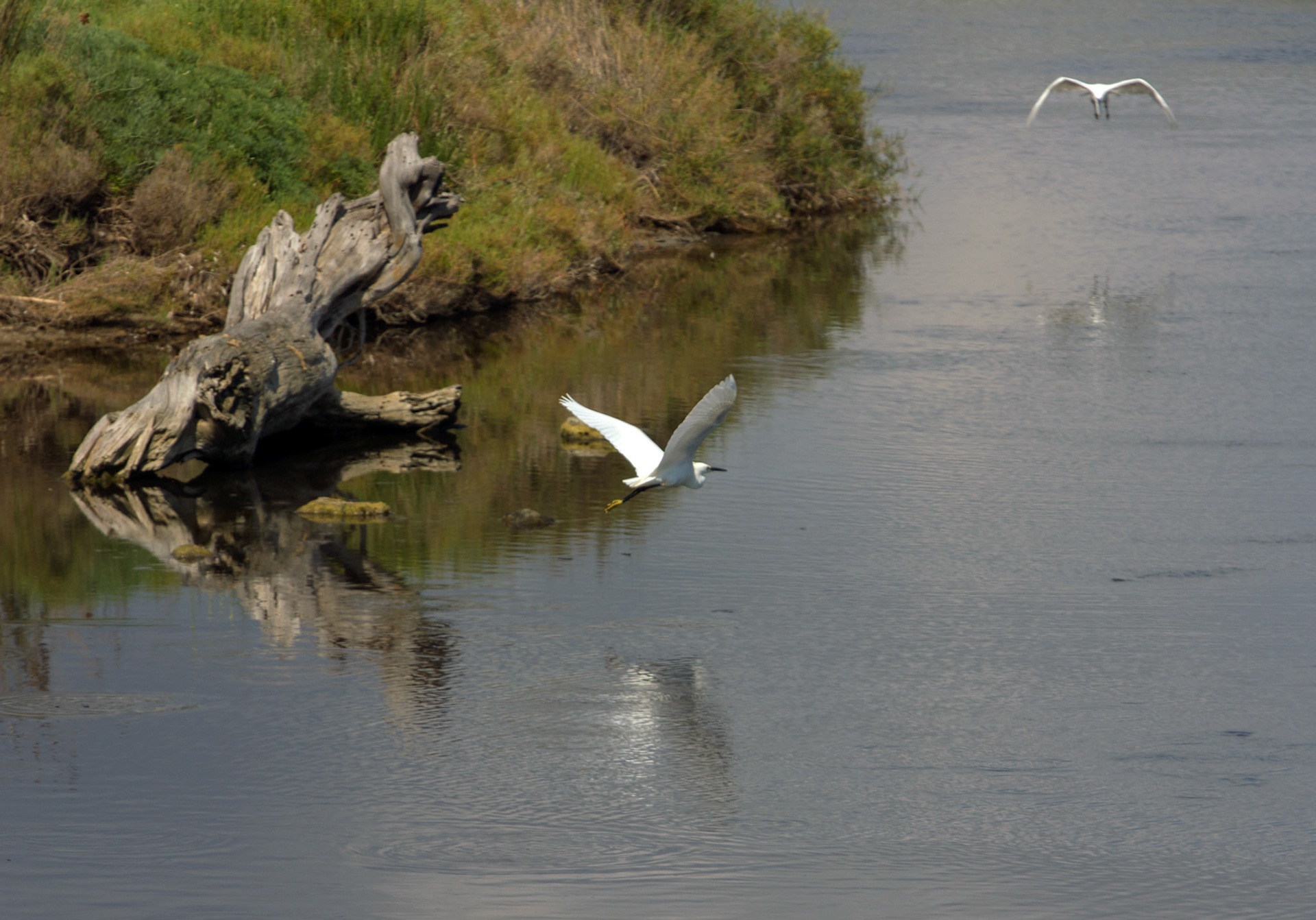 AlcudiaPlease see my other Photographs at: www.jamespdeans.co.uk