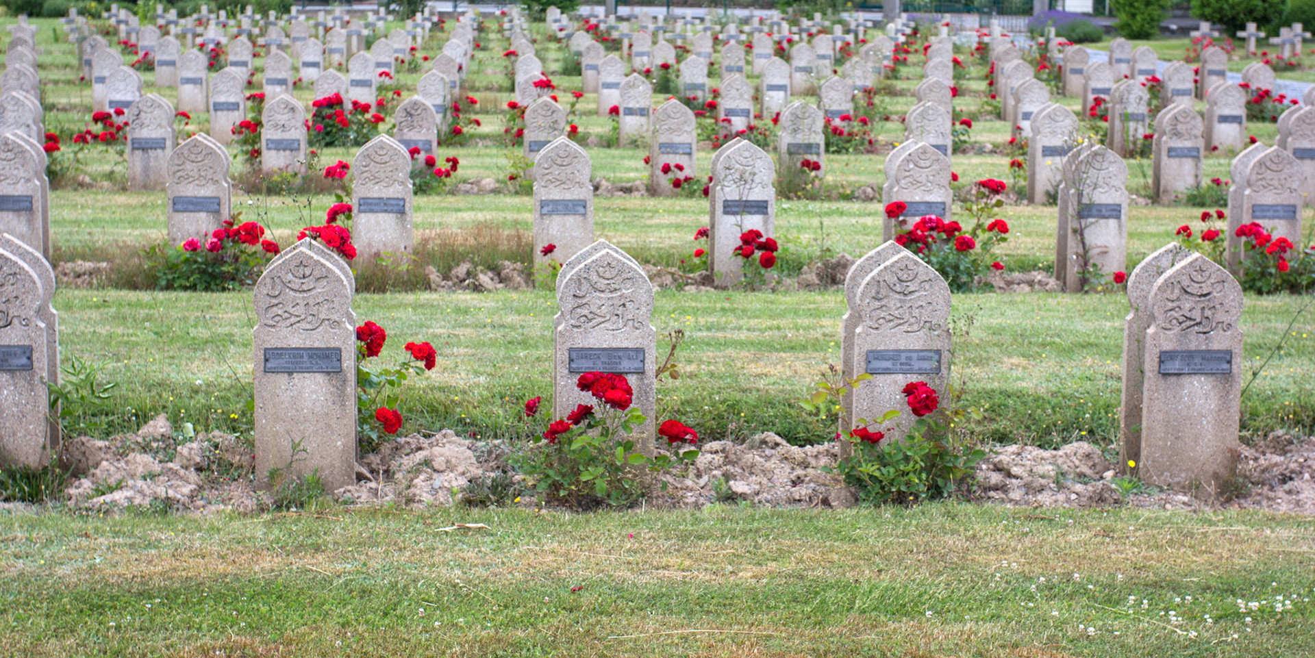 CernayPlease see my other Photographs at: http://www.jamespdeans.co.uk/