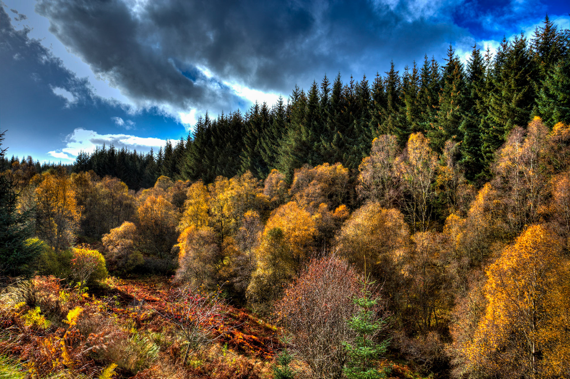 near Schiehallion. Autumnal Tour around Perthshire 19 October 2024