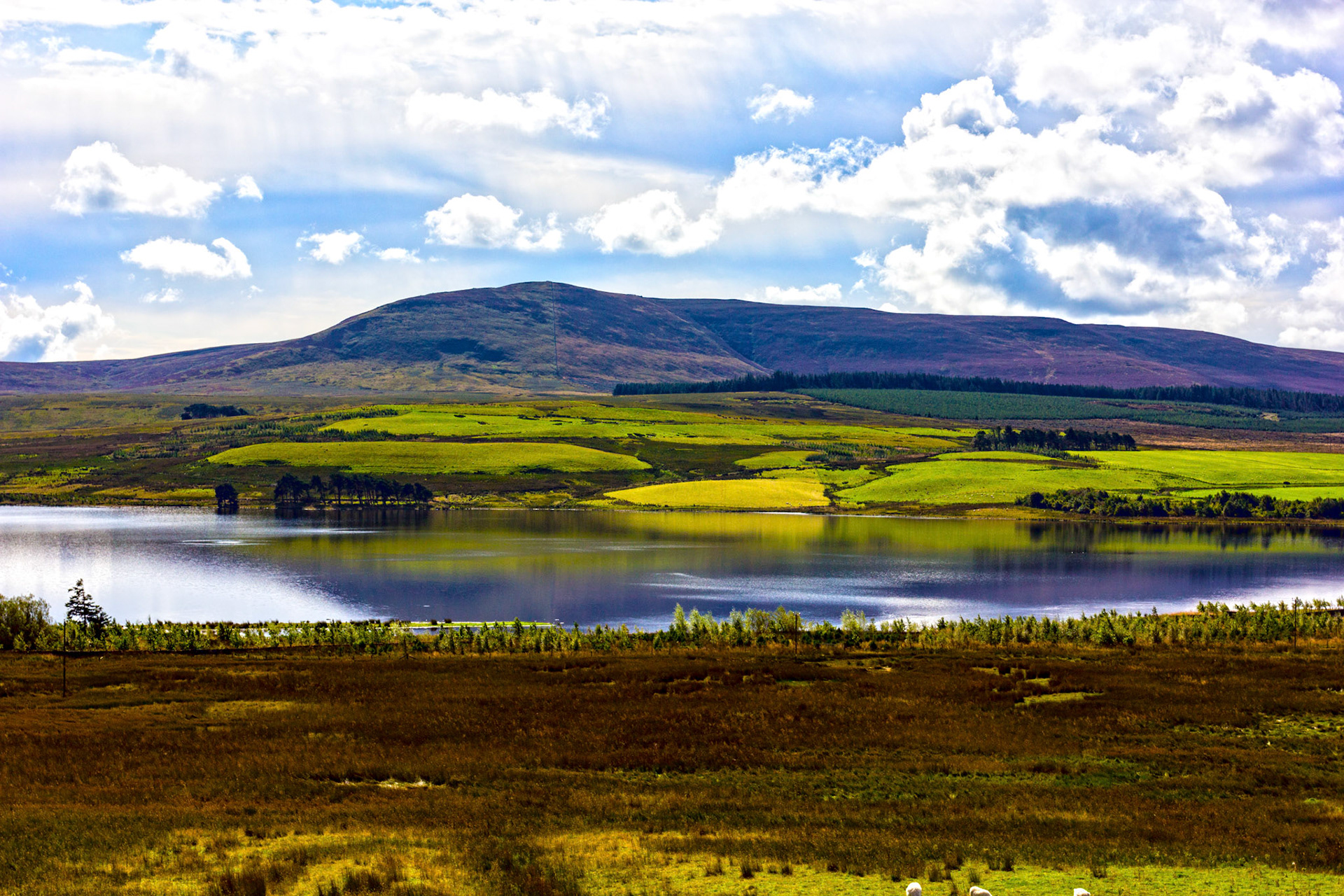 West Cairn Hill in the Pentland Hills. The water is Harperrig Reservoir. Viewed from the Lang Whang (A70) at Harperrig Reservoir. Please see my other Photographs at: http://www.jamespdeans.co.uk