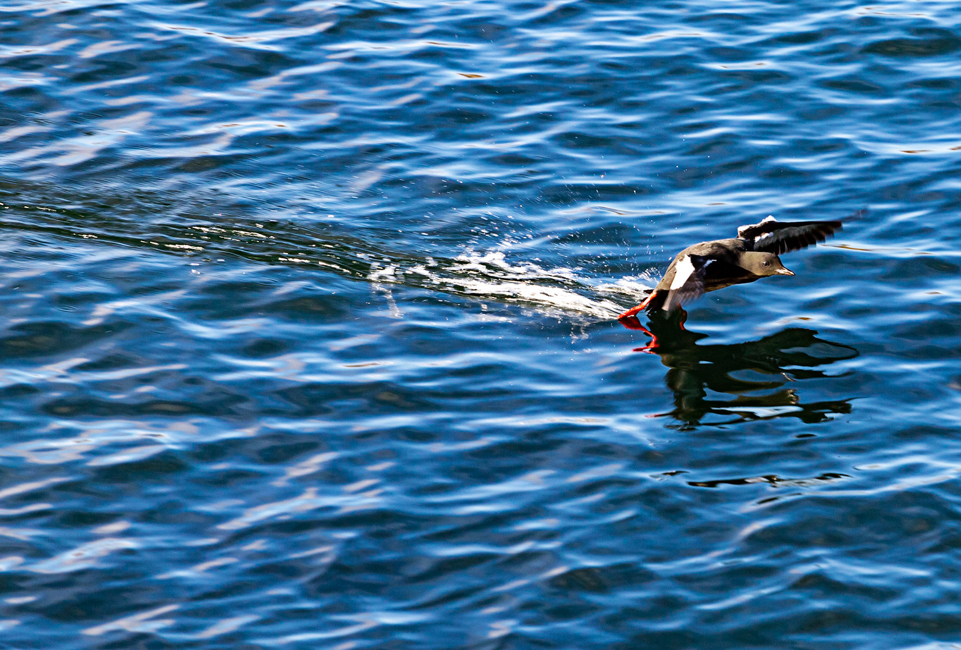 Oban  25 February 2023