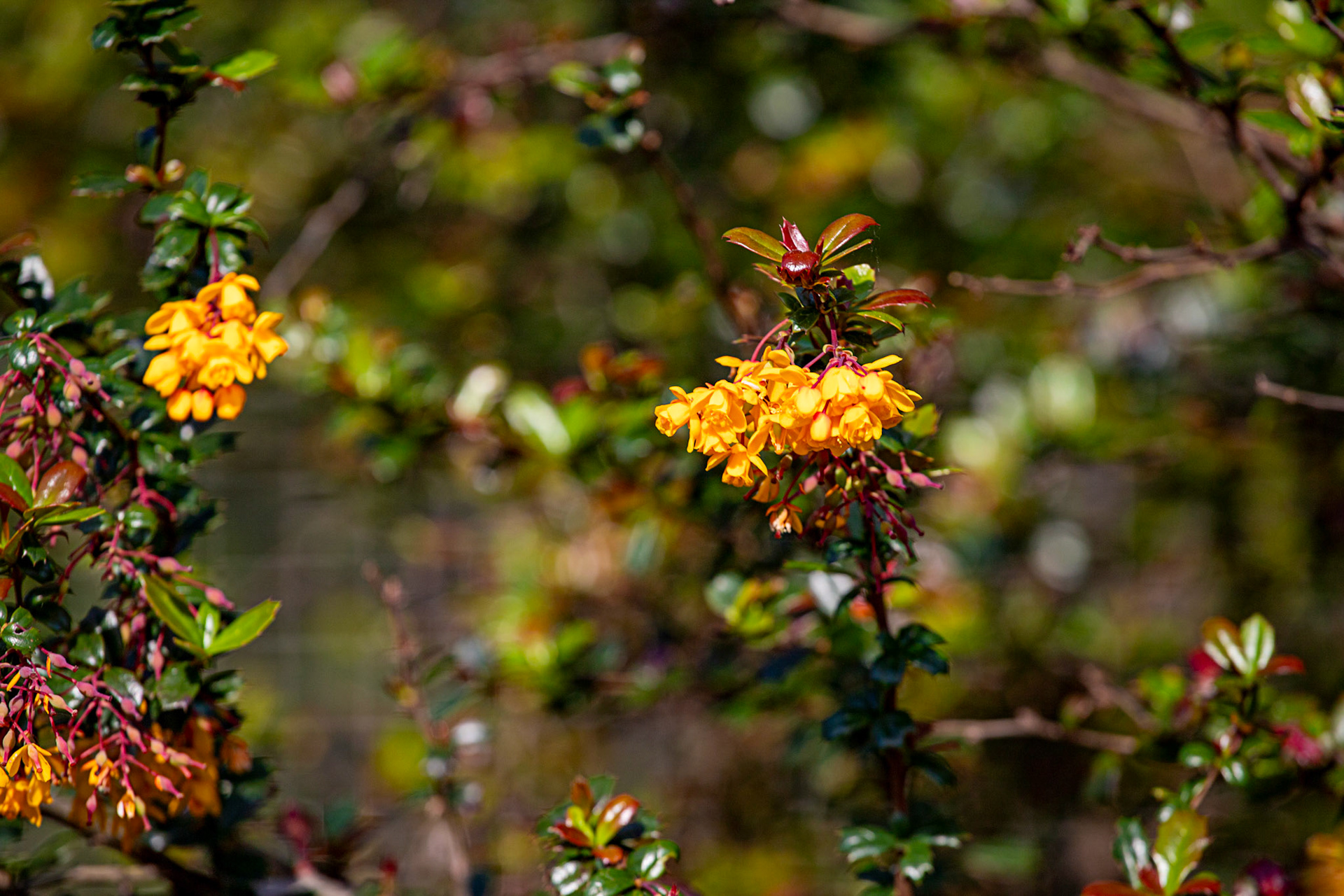 Braehead 02 May 2024