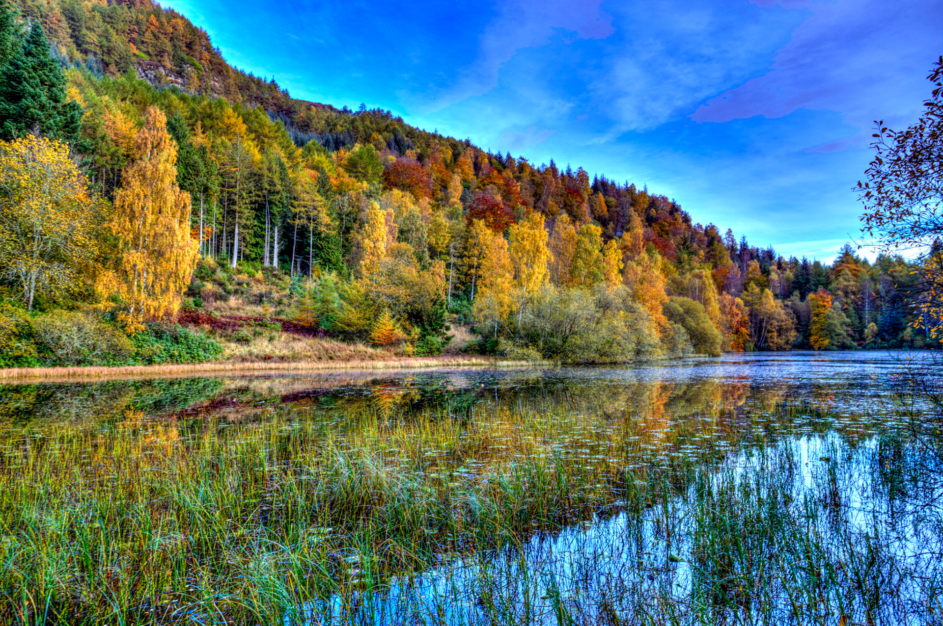 Polney Loch, Dunkeld. Autumnal Tour around Perthshire 19 October 2024