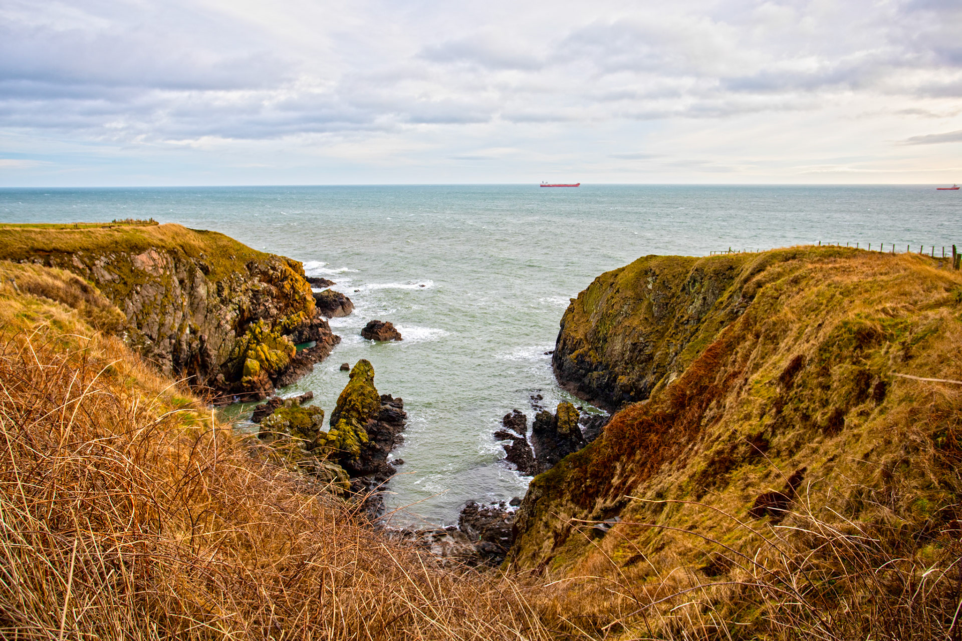 Burnbanks Haven - Walk Cove to Aberdeen 27 January 2024