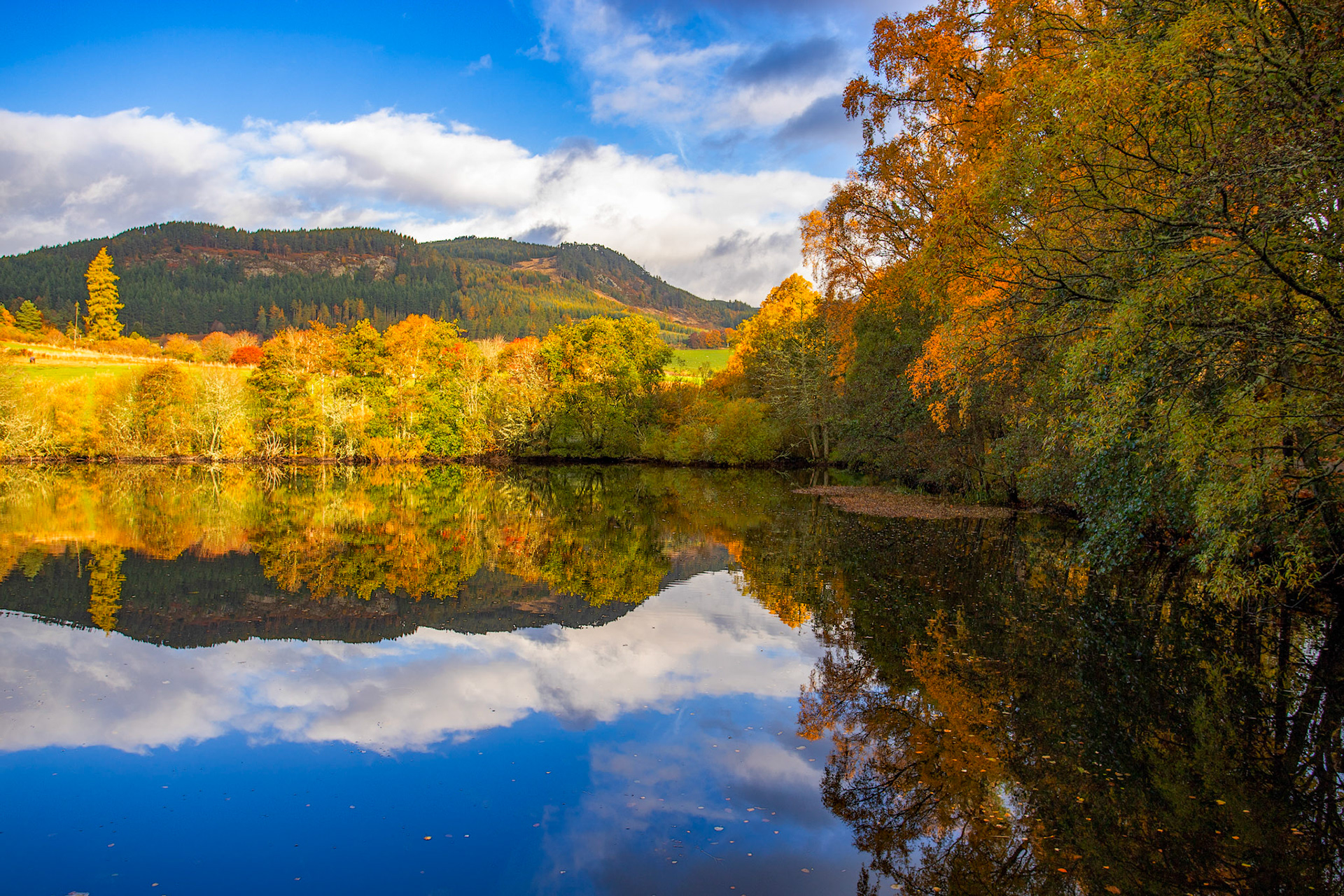 The Cuilc, Pitlochry. Autumnal Tour around Perthshire 19 October 2024