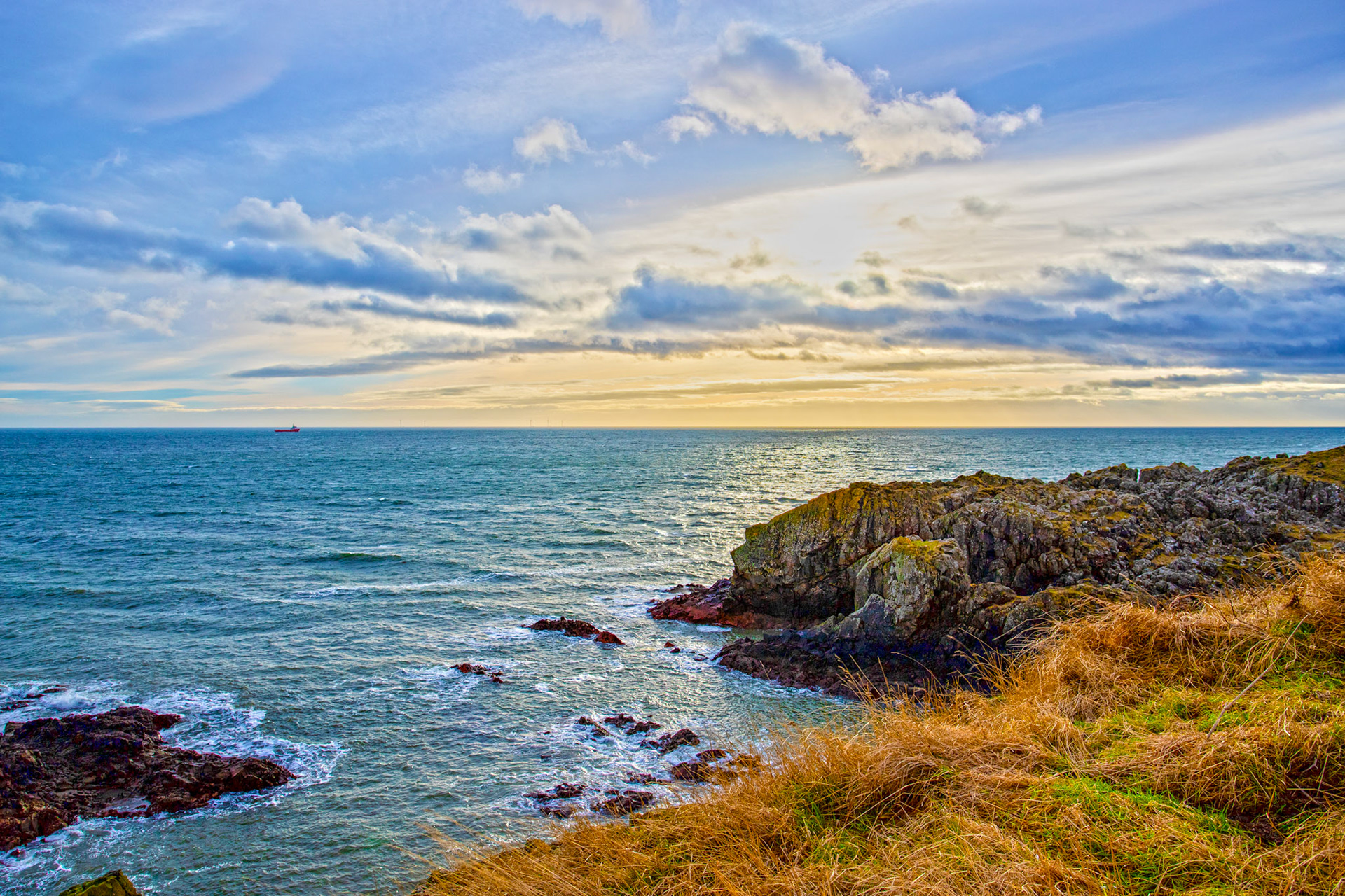Souter Head - Walk Cove to Aberdeen 27 January 2024