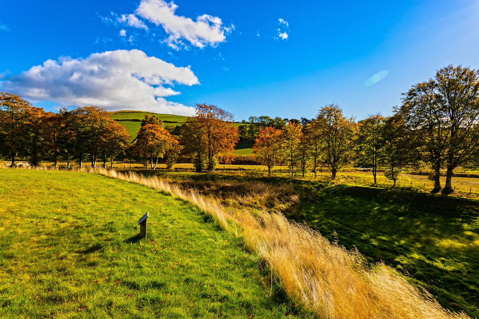 Autumn in Aberdeenshire 14 to 16 October 2022