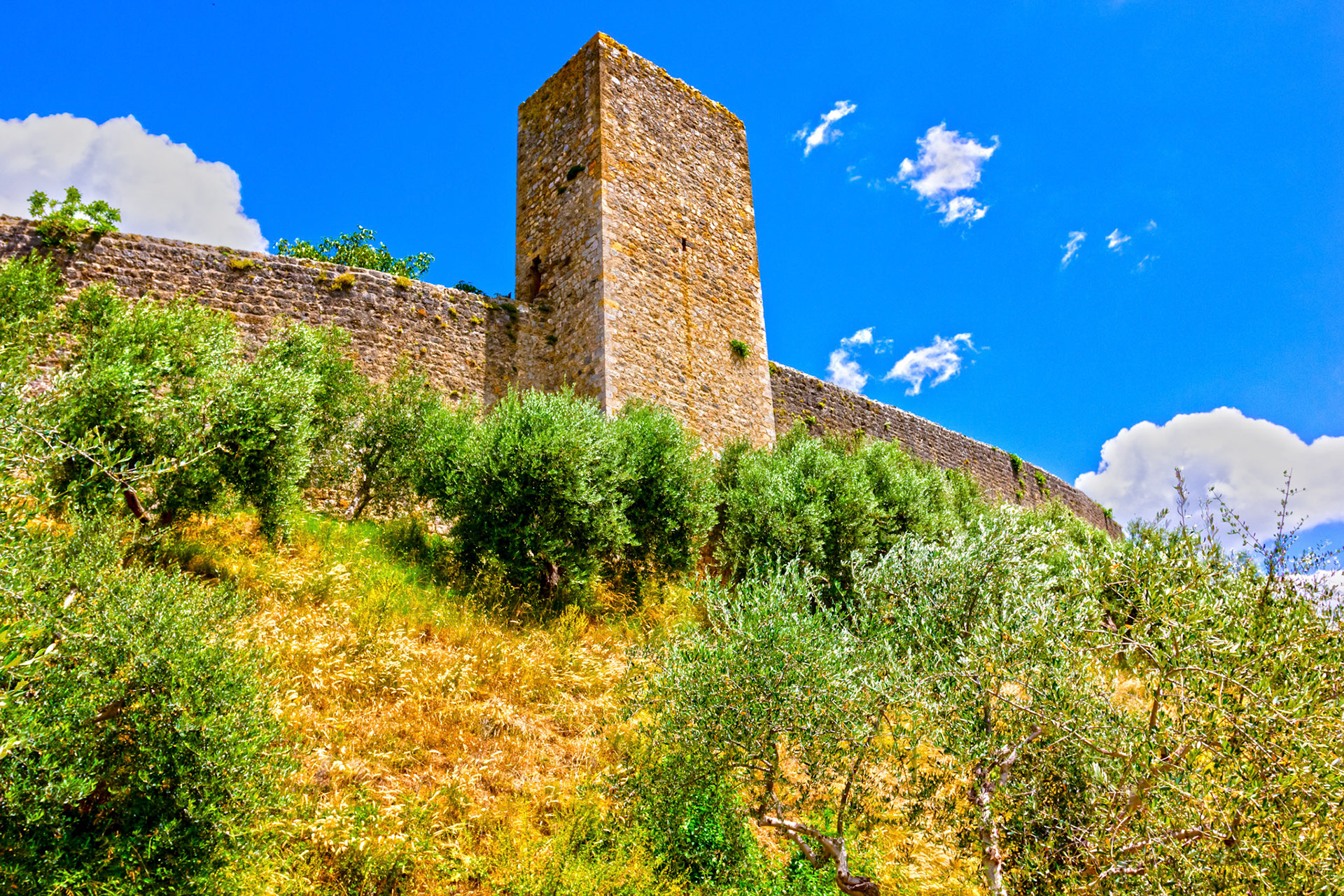 Monteriggioni 22 June 2024