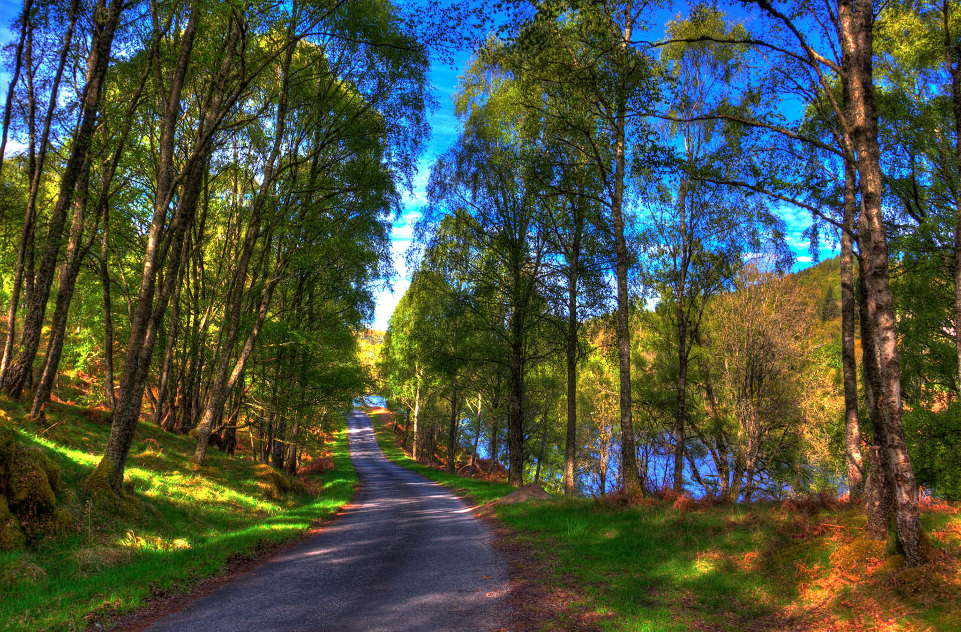 Road along the South shore of Loch Tummel 16 May 2026