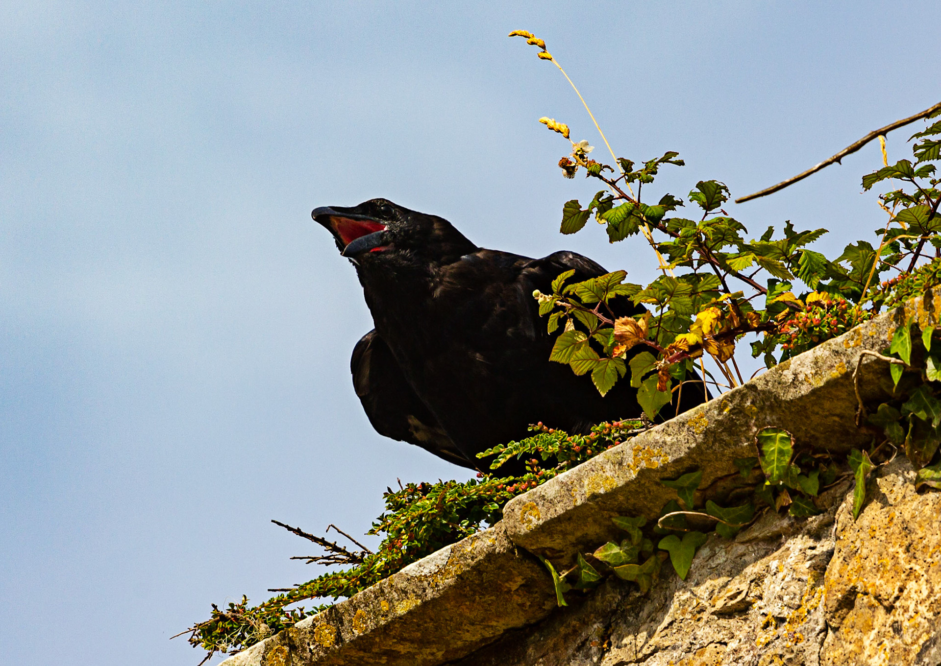 Old St Helen's Church Duver IOW 16 July 2022