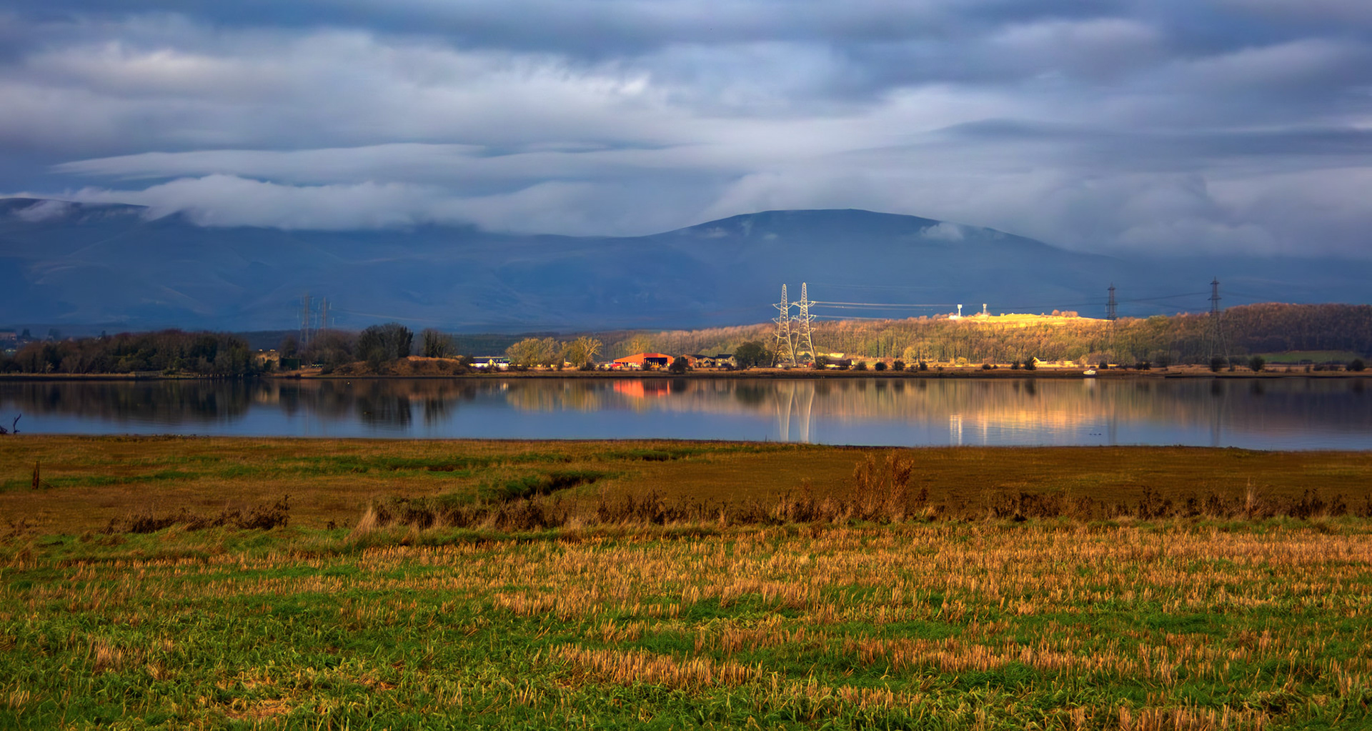 Higgins Neuk 17 January 2026