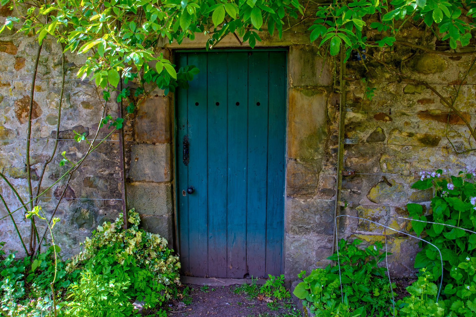 Door in the Wall - Malleny Gardens, Balerno 27 April 2026