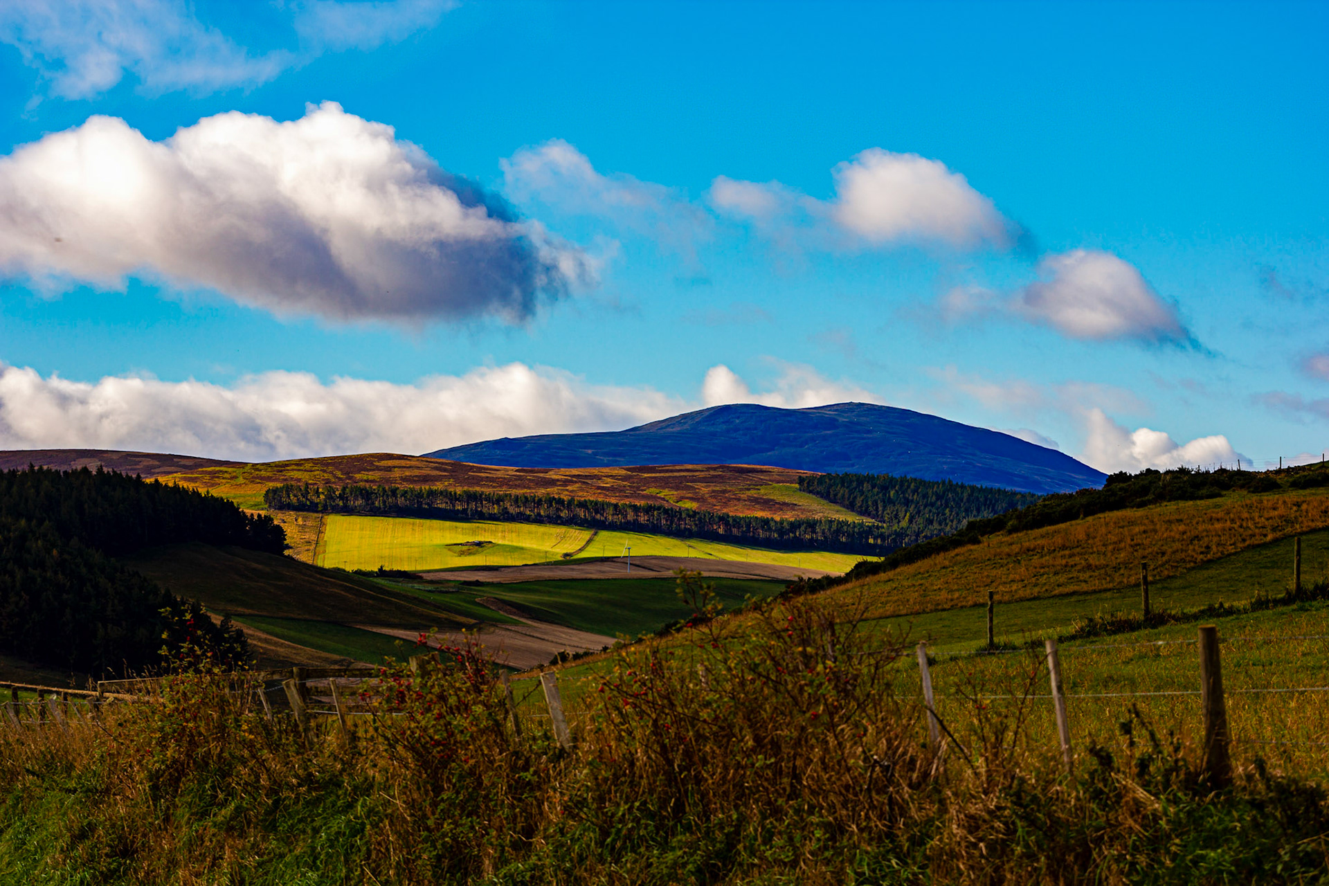 Autumn in Aberdeenshire 14 to 16 October 2022