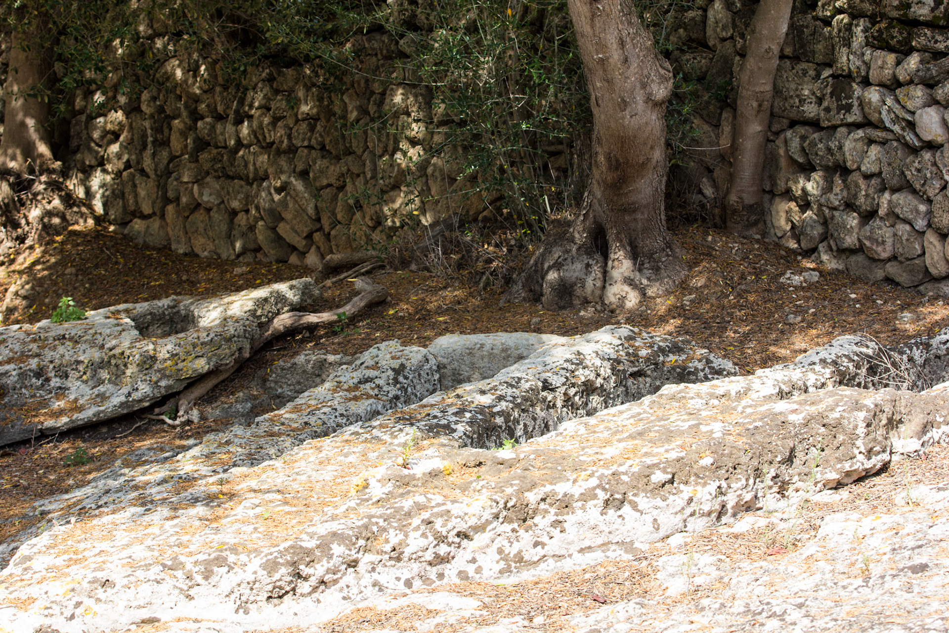 AlcudiaPlease see my other Photographs at: www.jamespdeans.co.uk