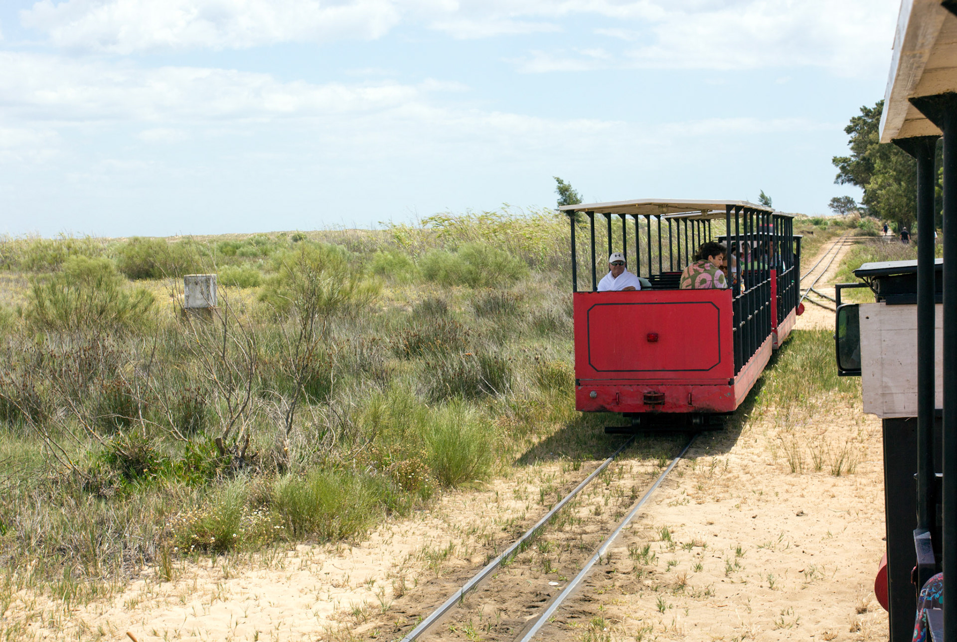 West of Santa Luzia is a narrow gauge railway across Tavira Island to Praia do Barril. The railway was for the use of the fishermen who lived on the island for several months each year, to help them move their catch (tuna) and equipment. After the fishery closed in 1966 the fishermen's houses and railway were converted for the use of tourists.