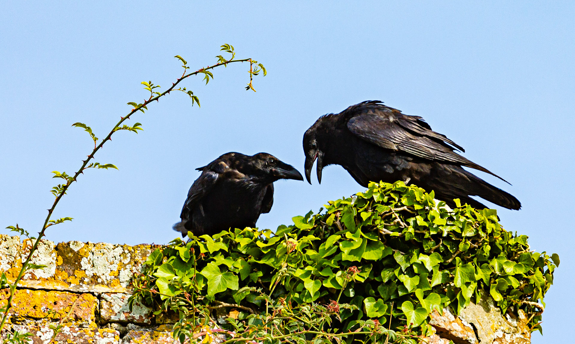 Old St Helen's Church Duver IOW 16 July 2022