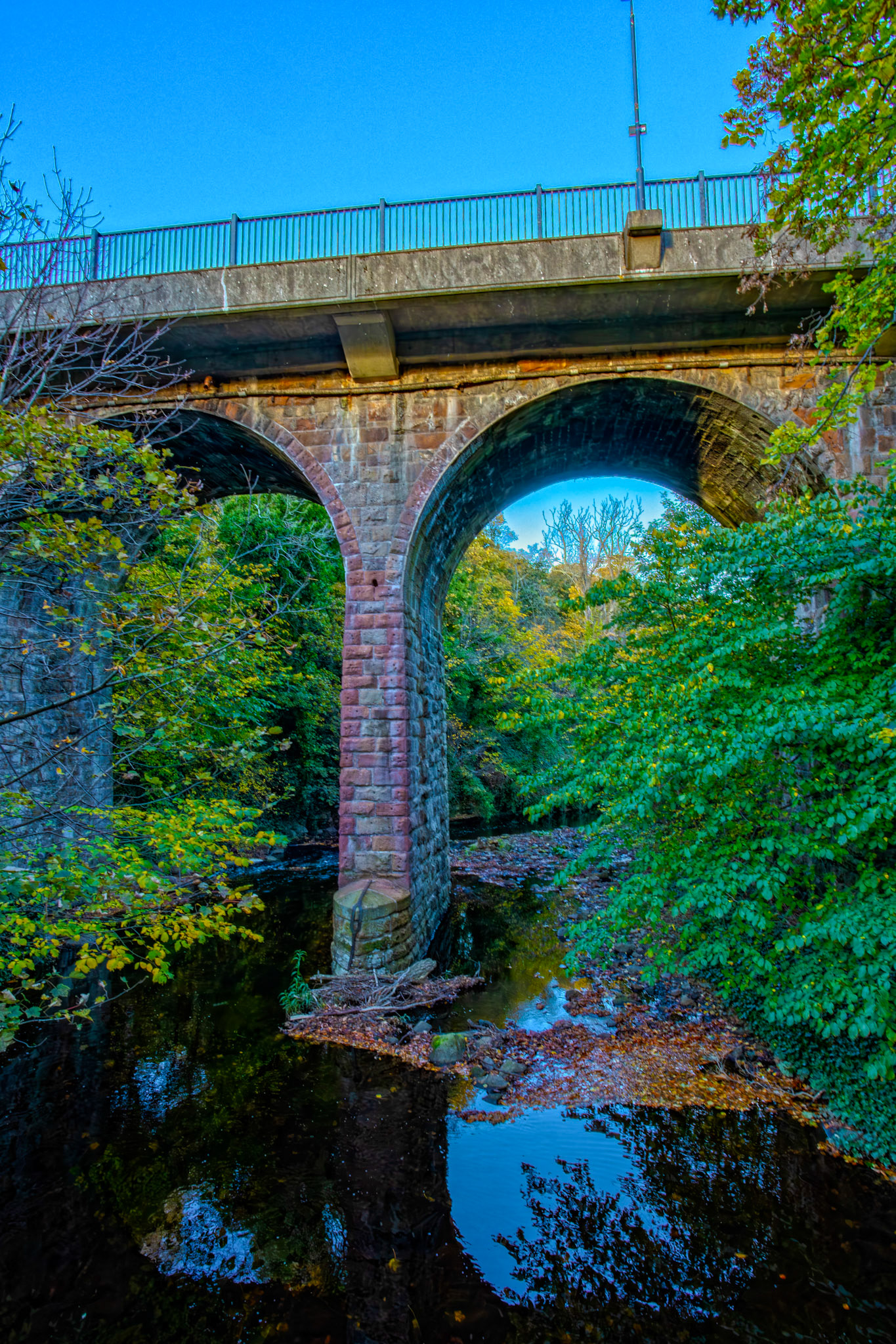 Water of Leith - Colinton 27 October 2025