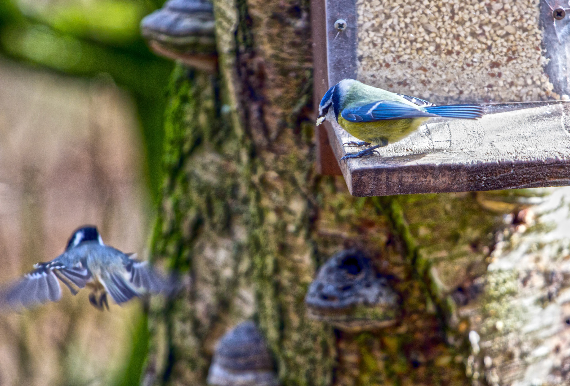 PerthshirePlease see my other Photographs at: http://www.jamespdeans.co.uk/
