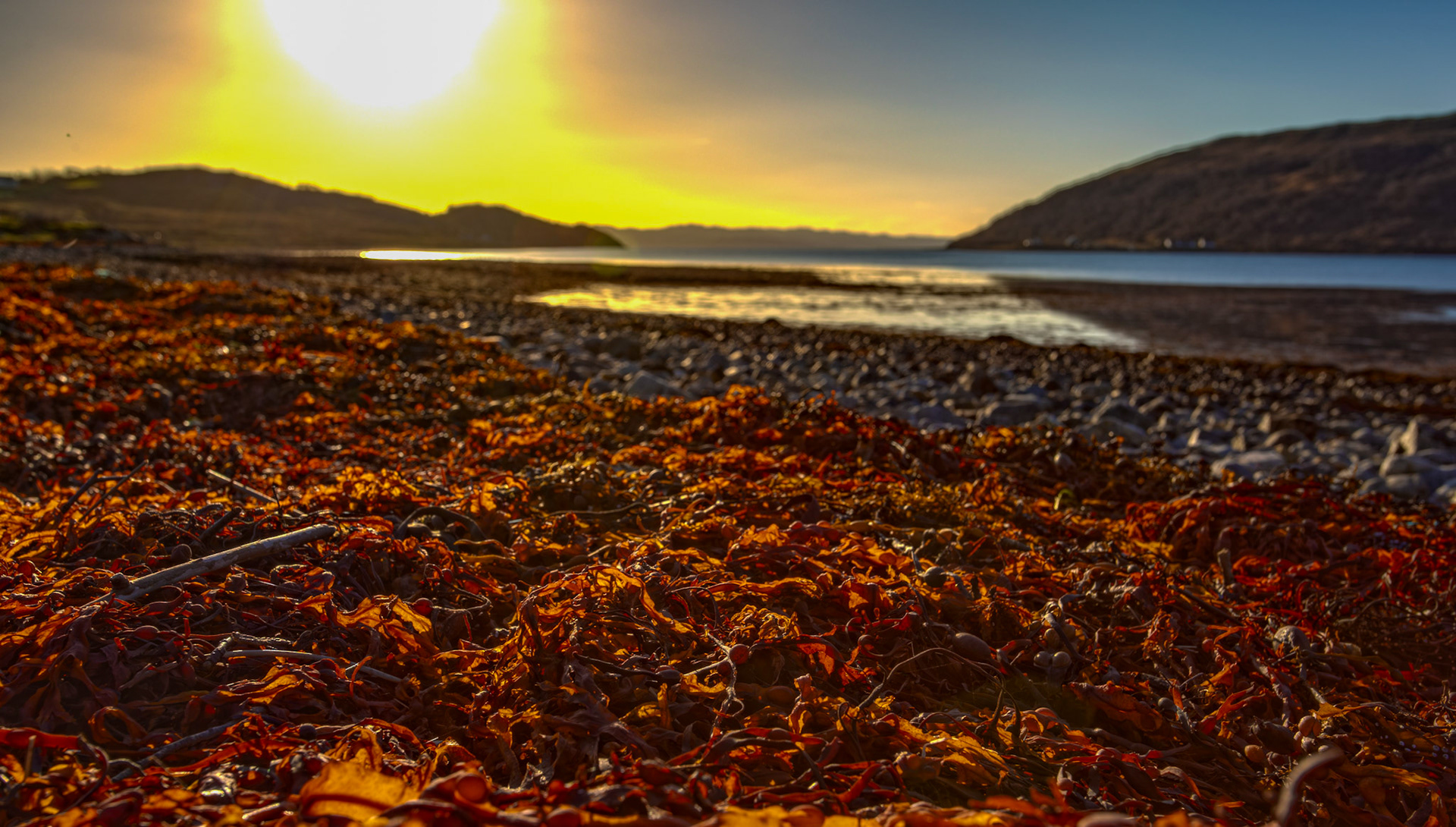 Skye 15 November 2025