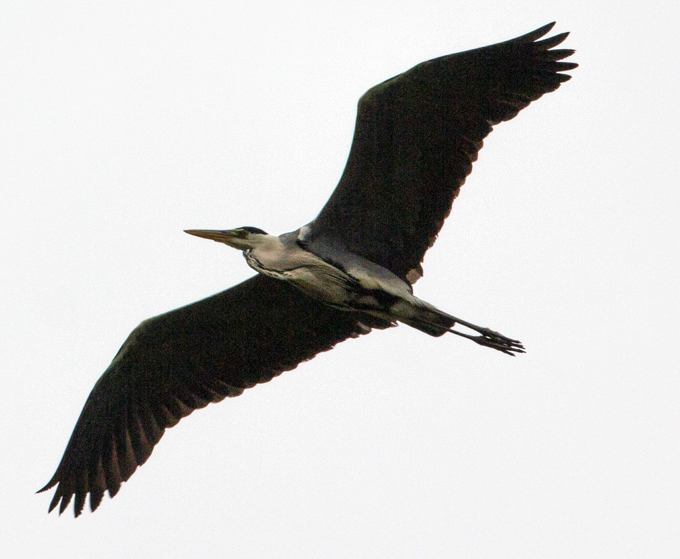 CernayPlease see my other Photographs at: http://www.jamespdeans.co.uk/