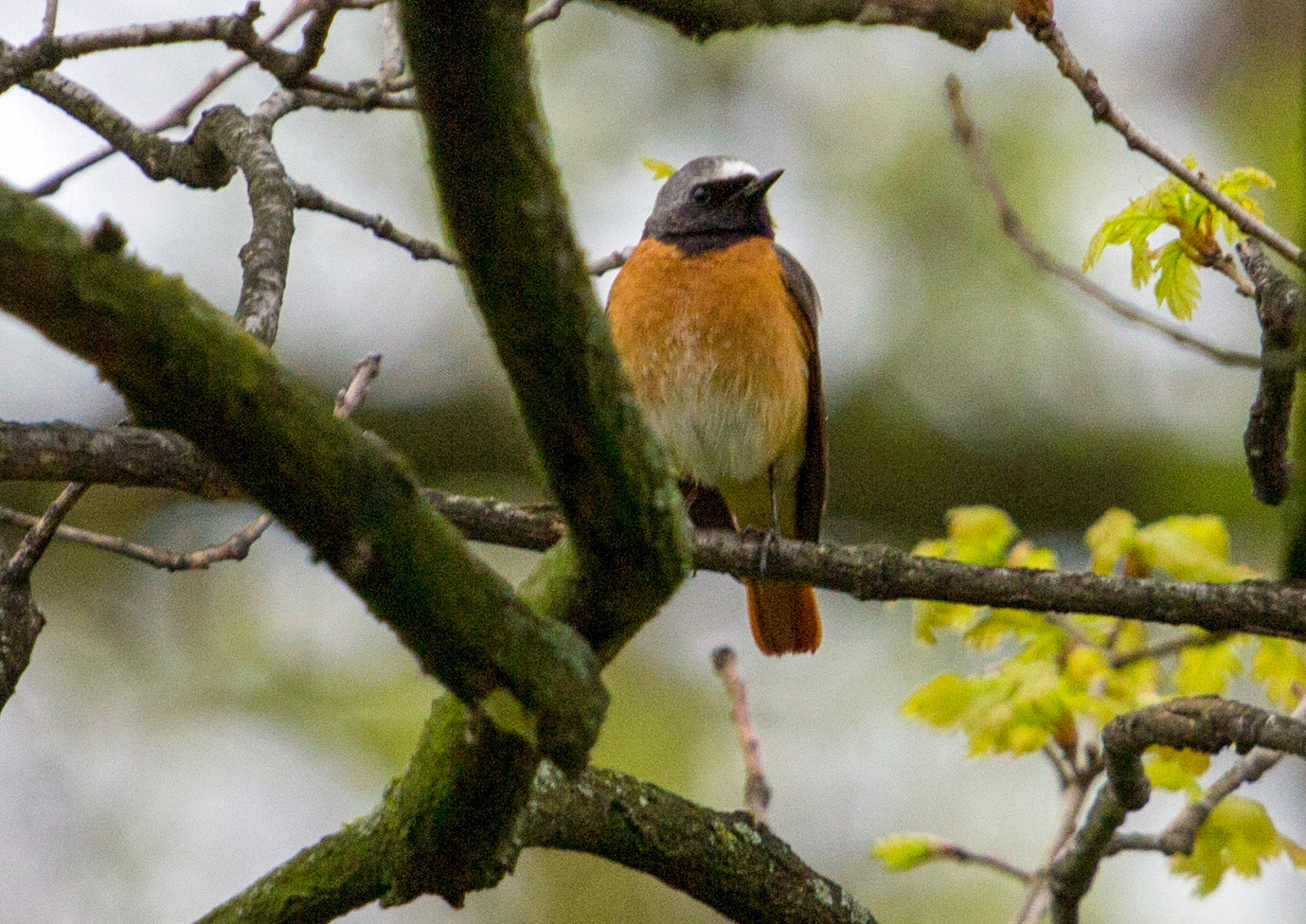 KarlsruhePlease see my other Photographs at: http://www.jamespdeans.co.uk/