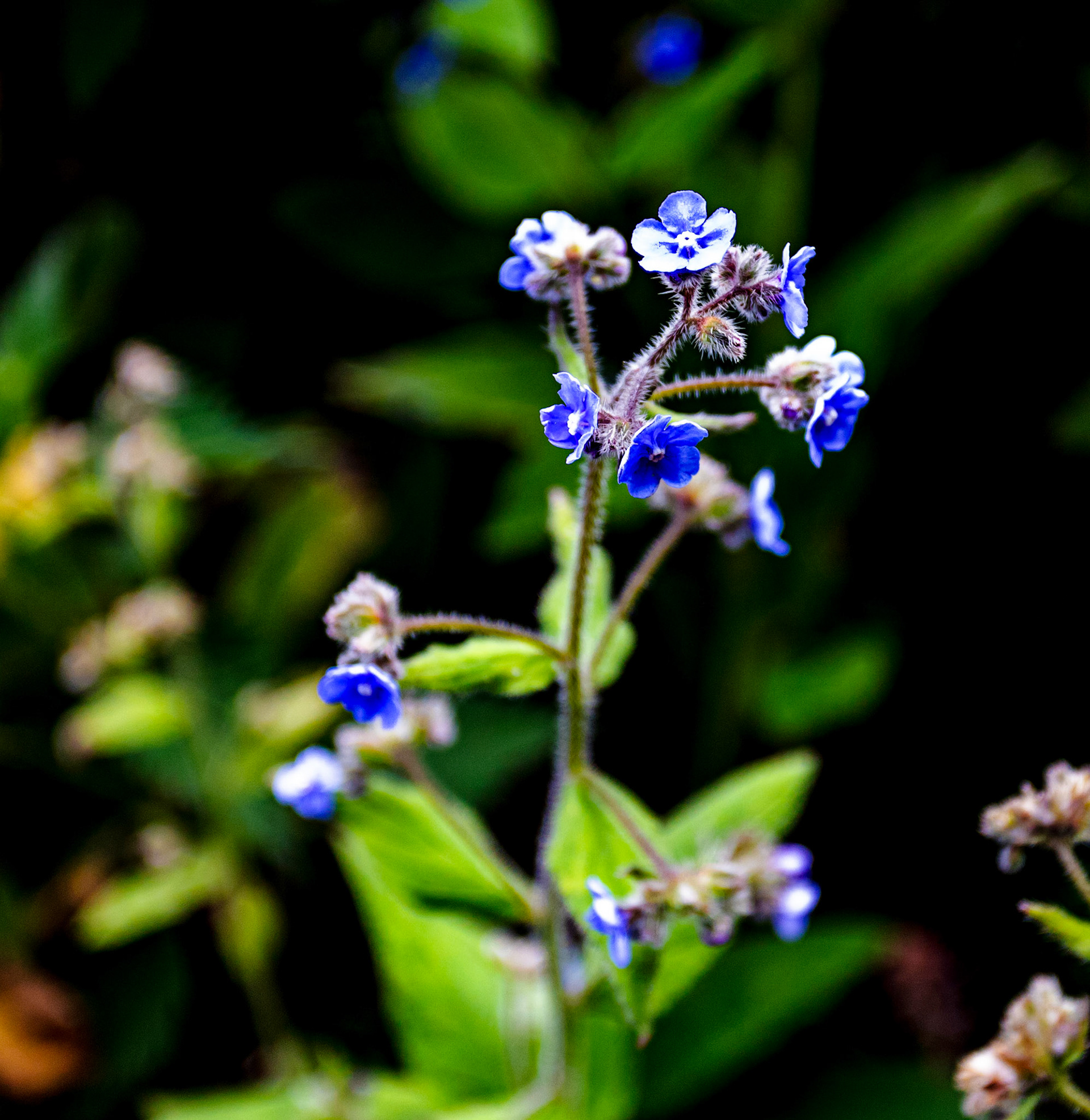 Reading 07 June 2024