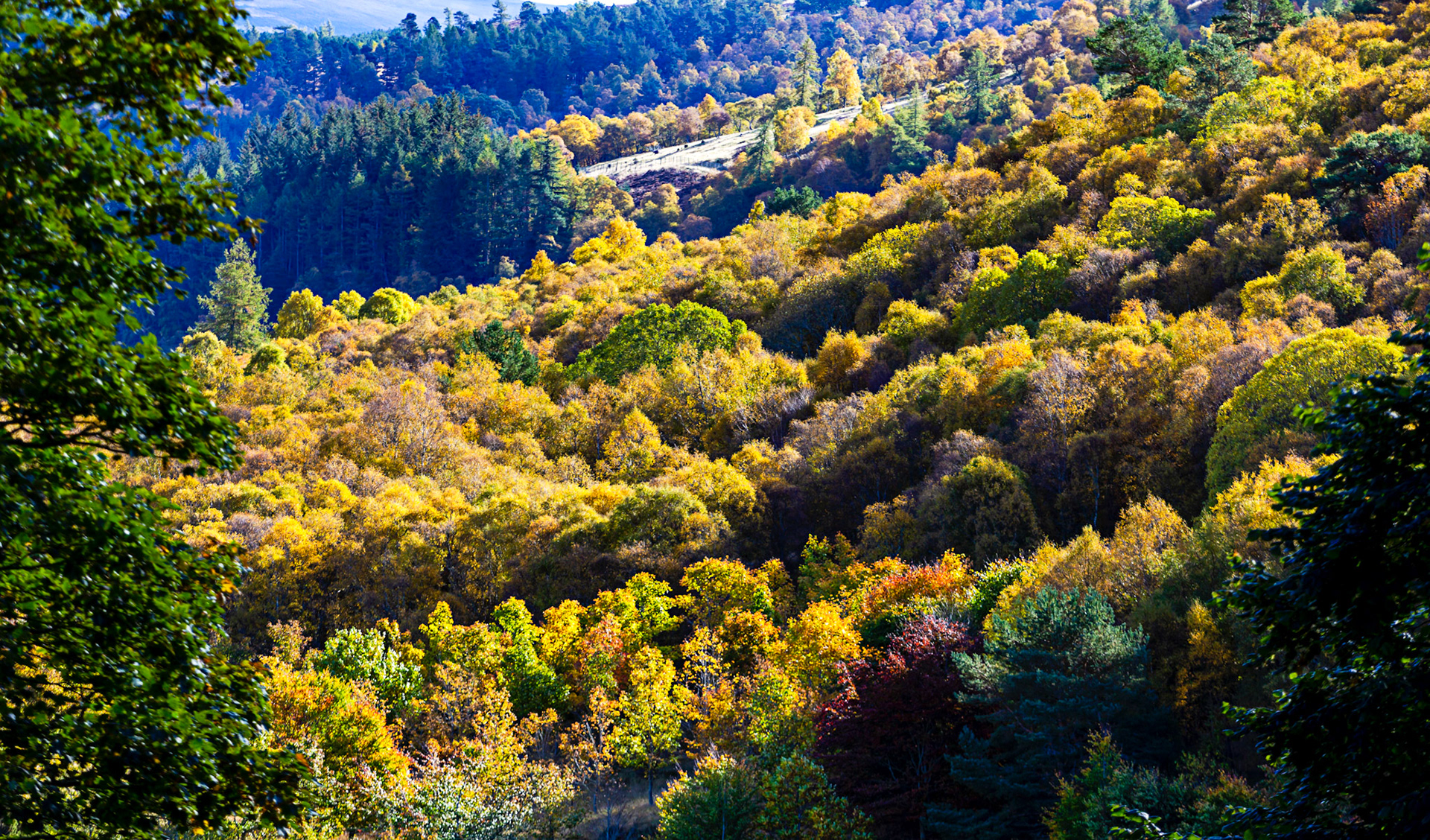 Autumn in Aberdeenshire 14 to 16 October 2022