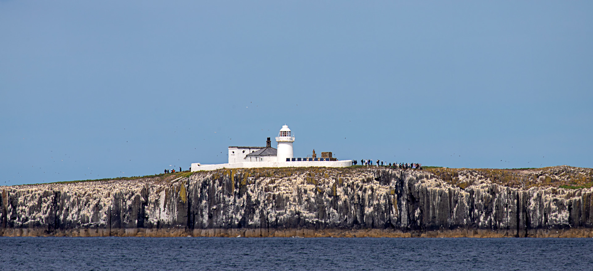 Farne Lighthouse - Farne Islands 03 July 2026