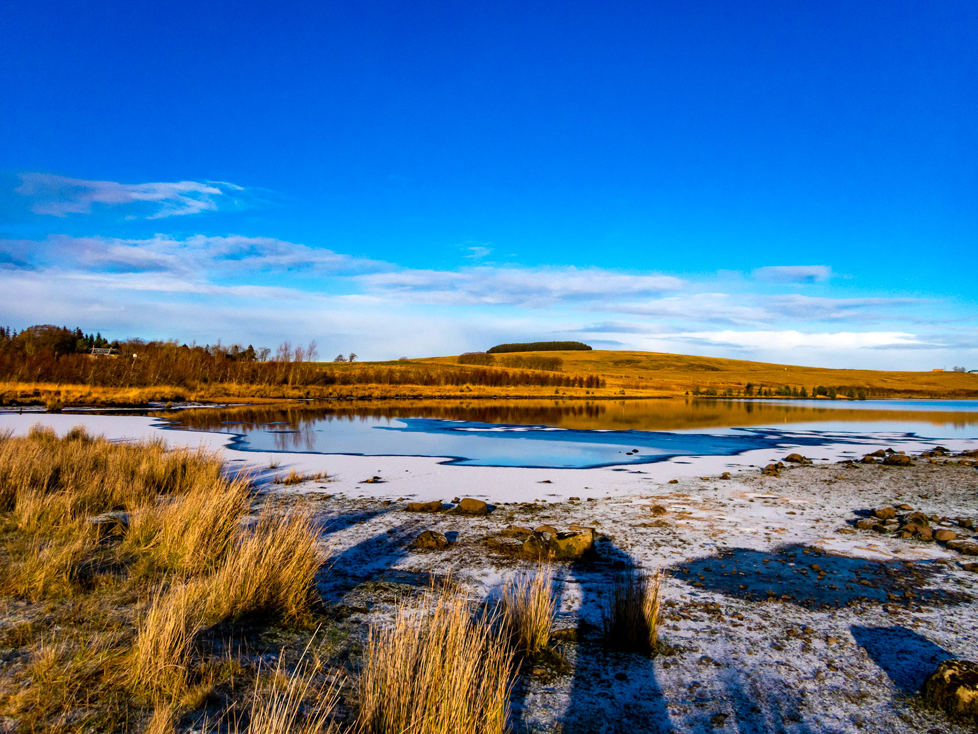 Swim at Harperrig 08 December 2022