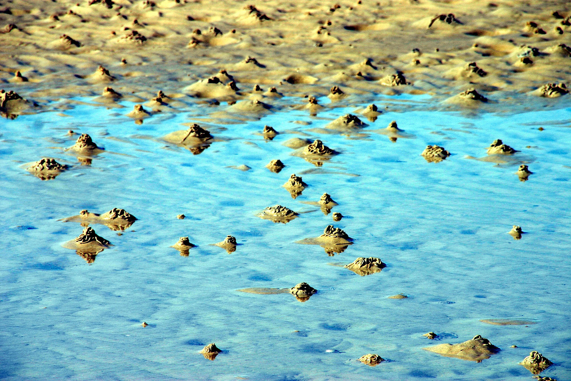 OrkneyPlease see my other Photographs at: http://www.jamespdeans.co.uk/