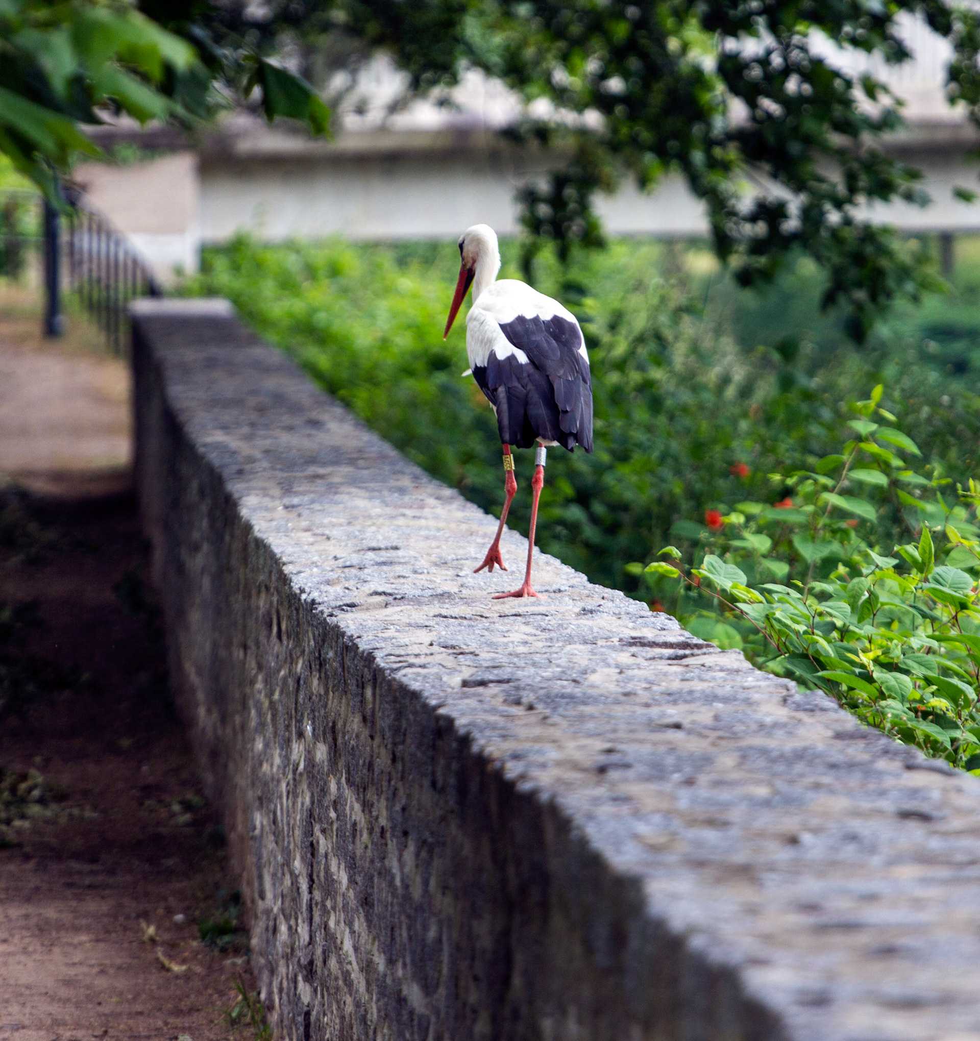 CernayPlease see my other Photographs at: http://www.jamespdeans.co.uk/