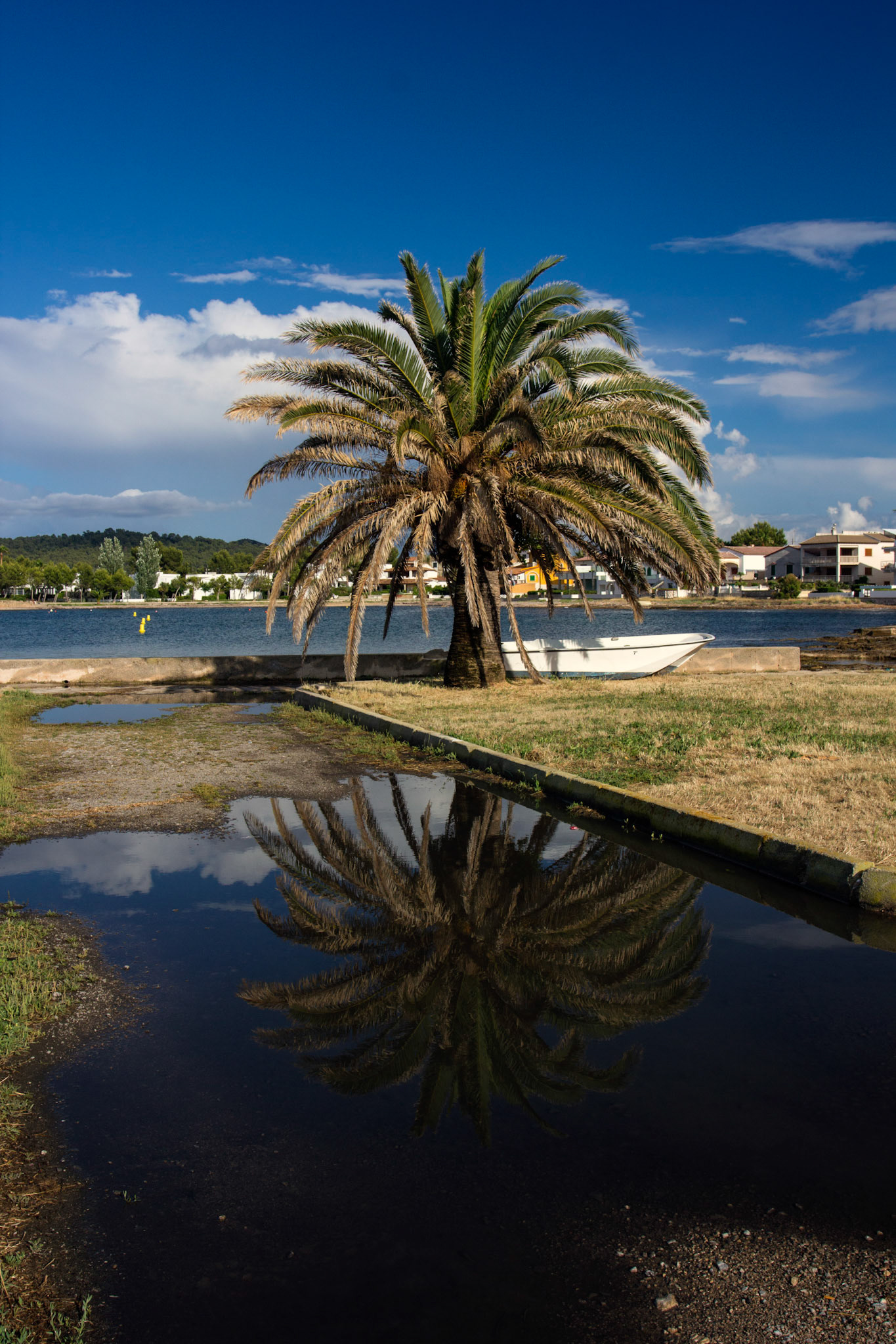 AlcudiaPlease see my other Photographs at: www.jamespdeans.co.uk