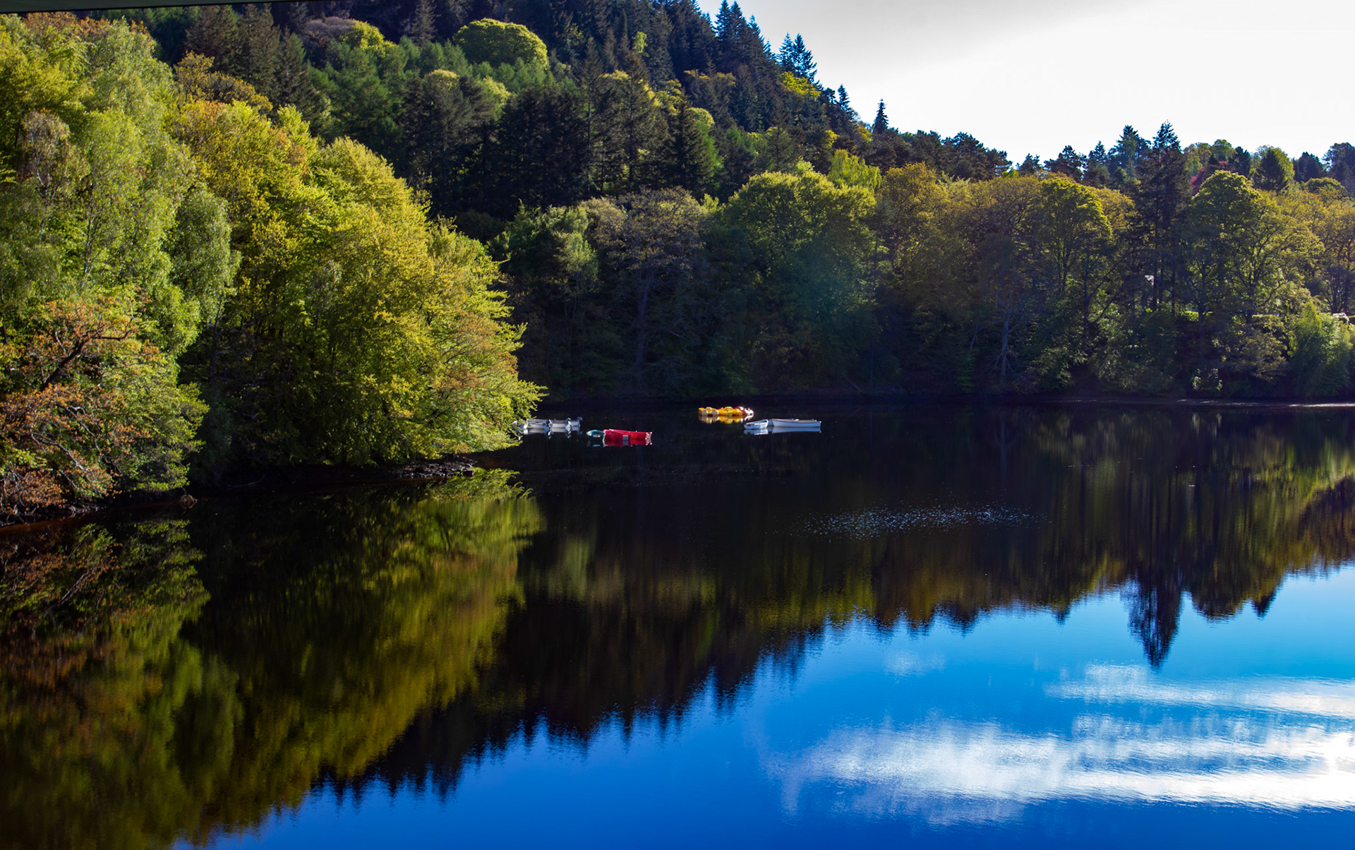 Loch Faskally - View from Clunie Bridge 16 May 2026 15.jpg