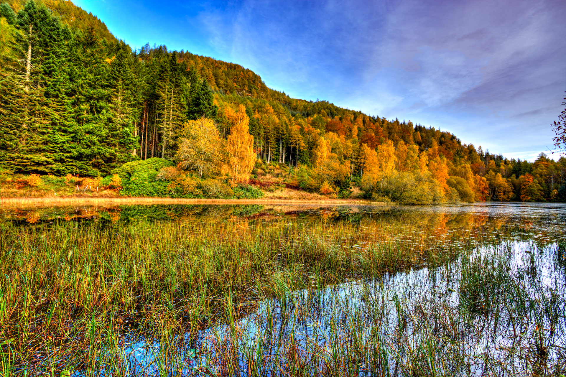 Polney Loch, Dunkeld. Autumnal Tour around Perthshire 19 October 2024