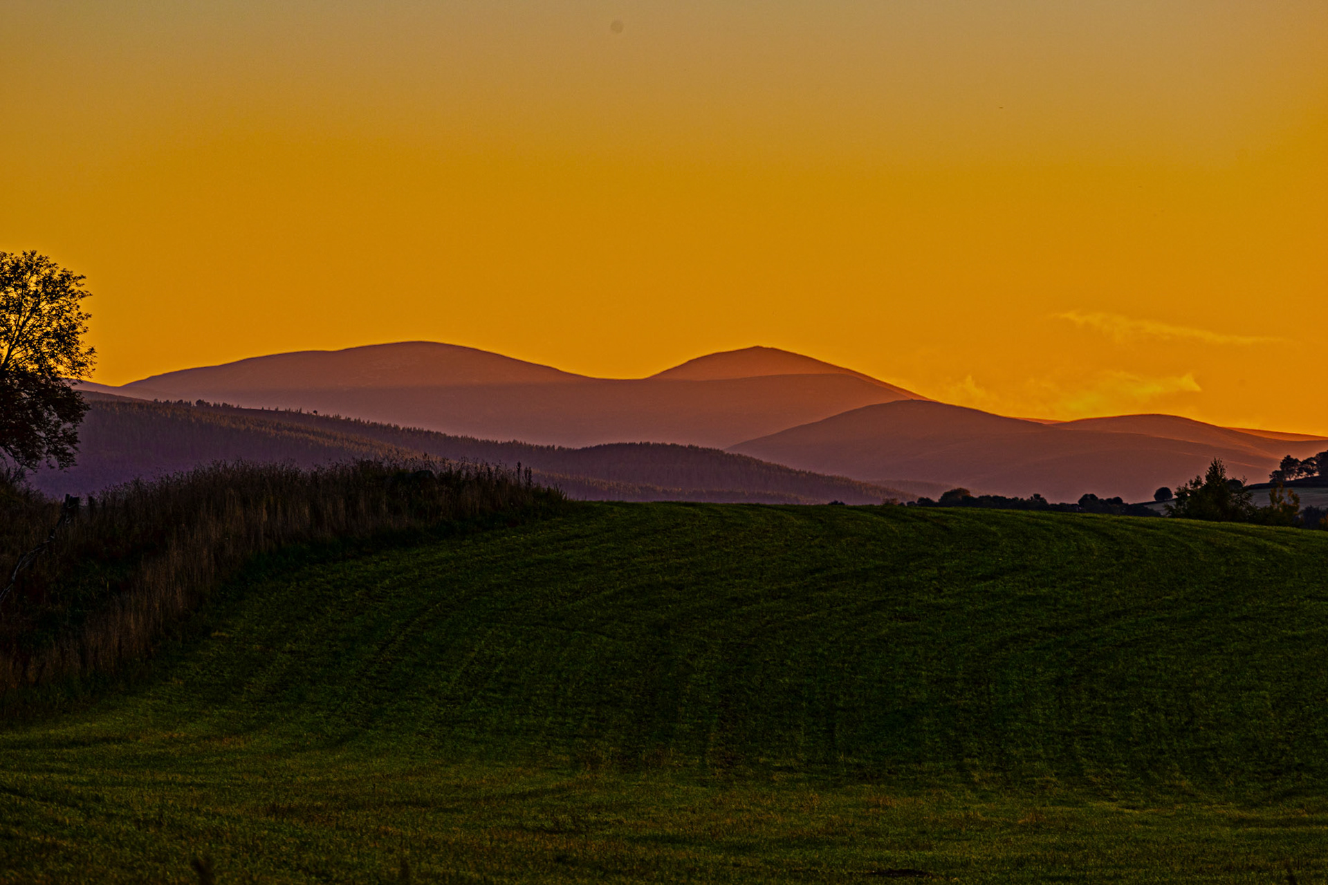 Autumn in Aberdeenshire 14 to 16 October 2022