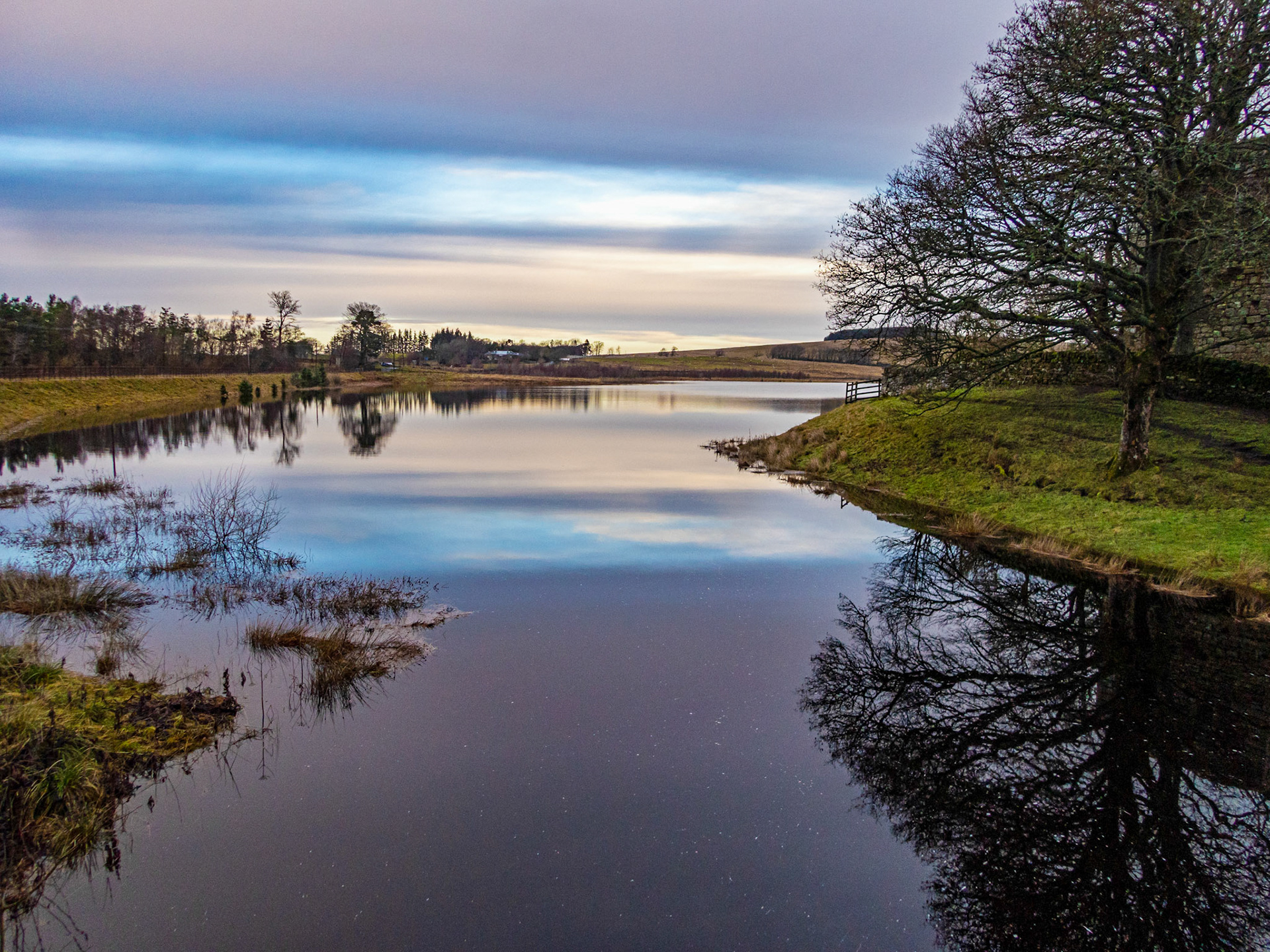 Swim at Harperrig 31 Dec 2022