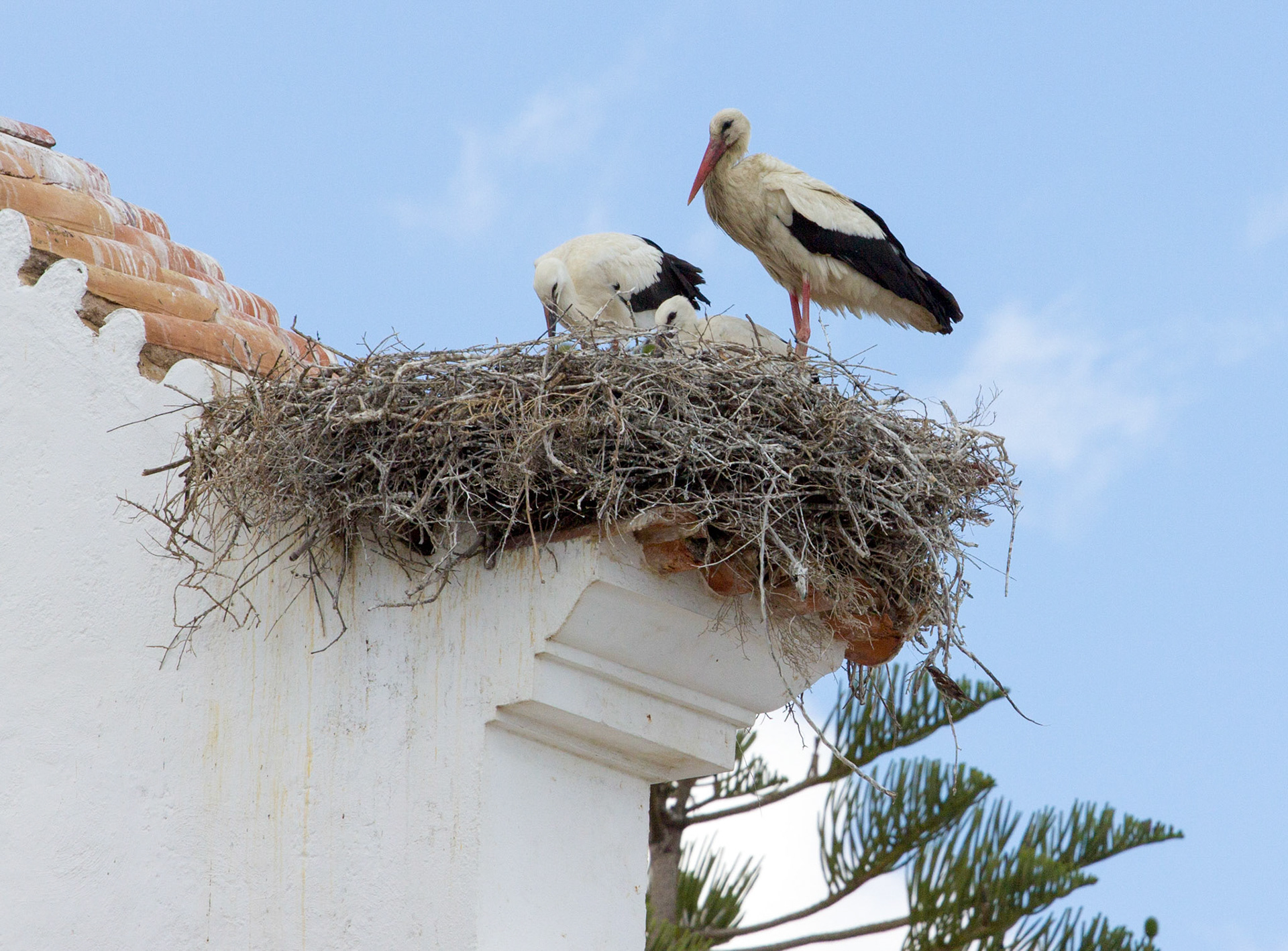 Eastern AlgarvePlease see my other Photographs at: http://www.jamespdeans.co.uk/